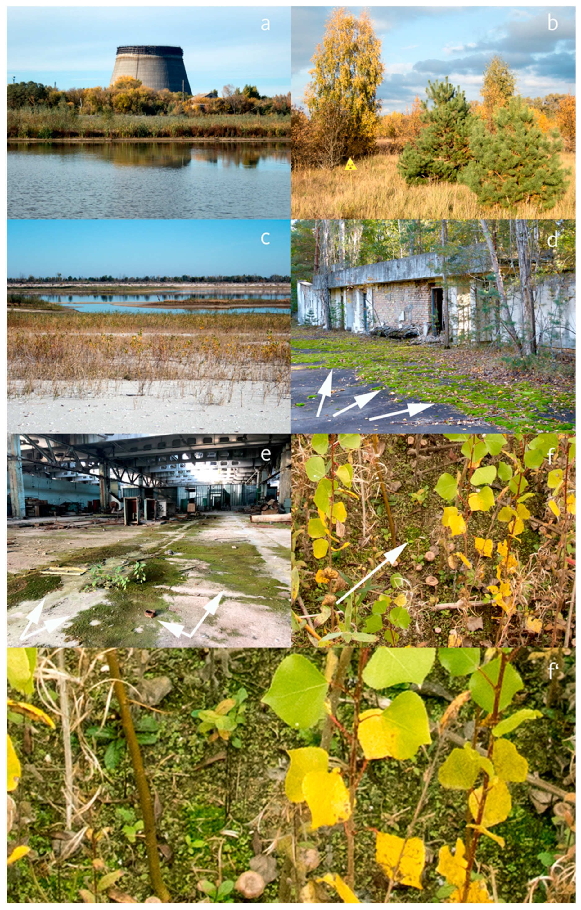 Toxics 11 00218 g003 Toxics 11 00218 g003
