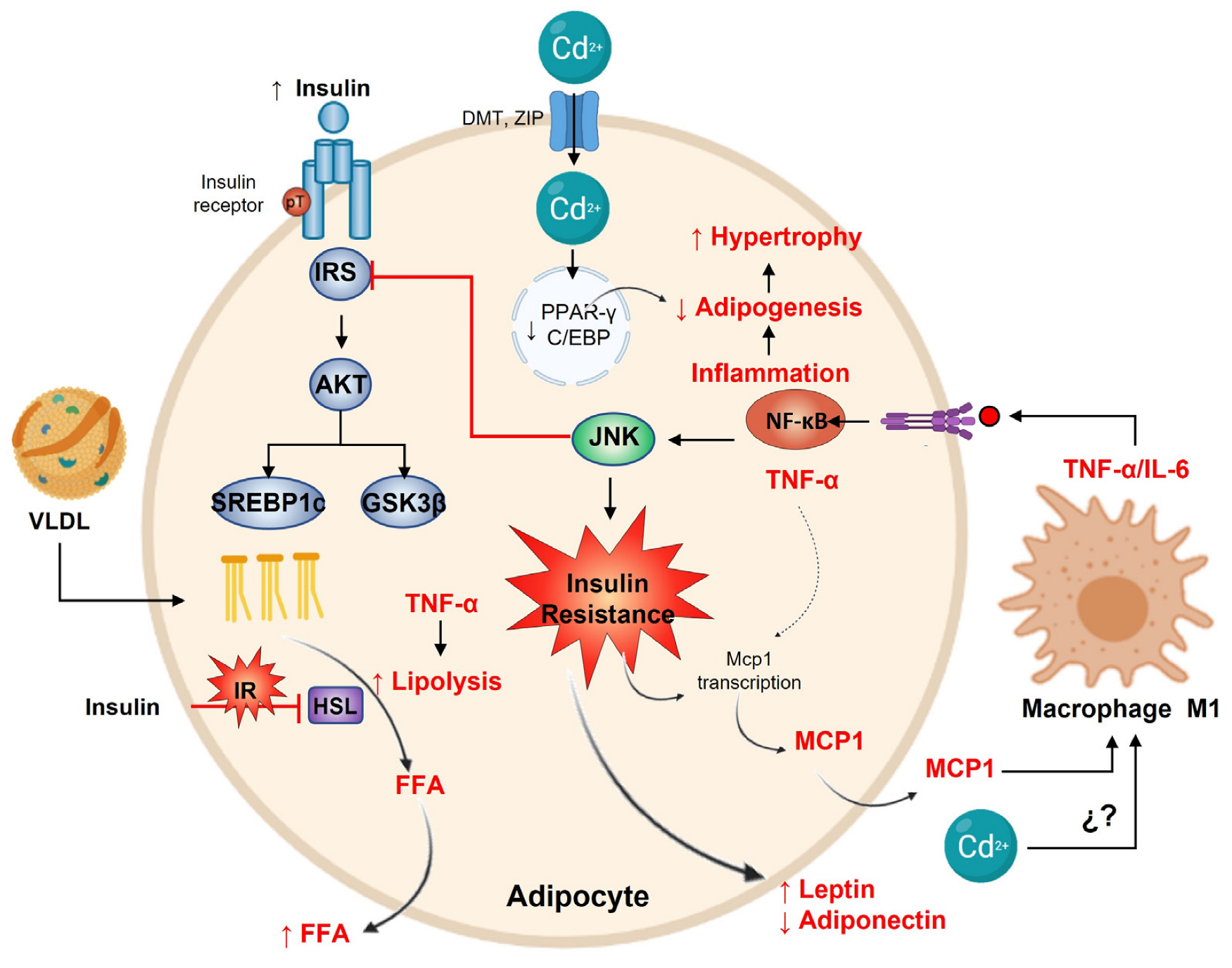 Toxics 11 00223 g004