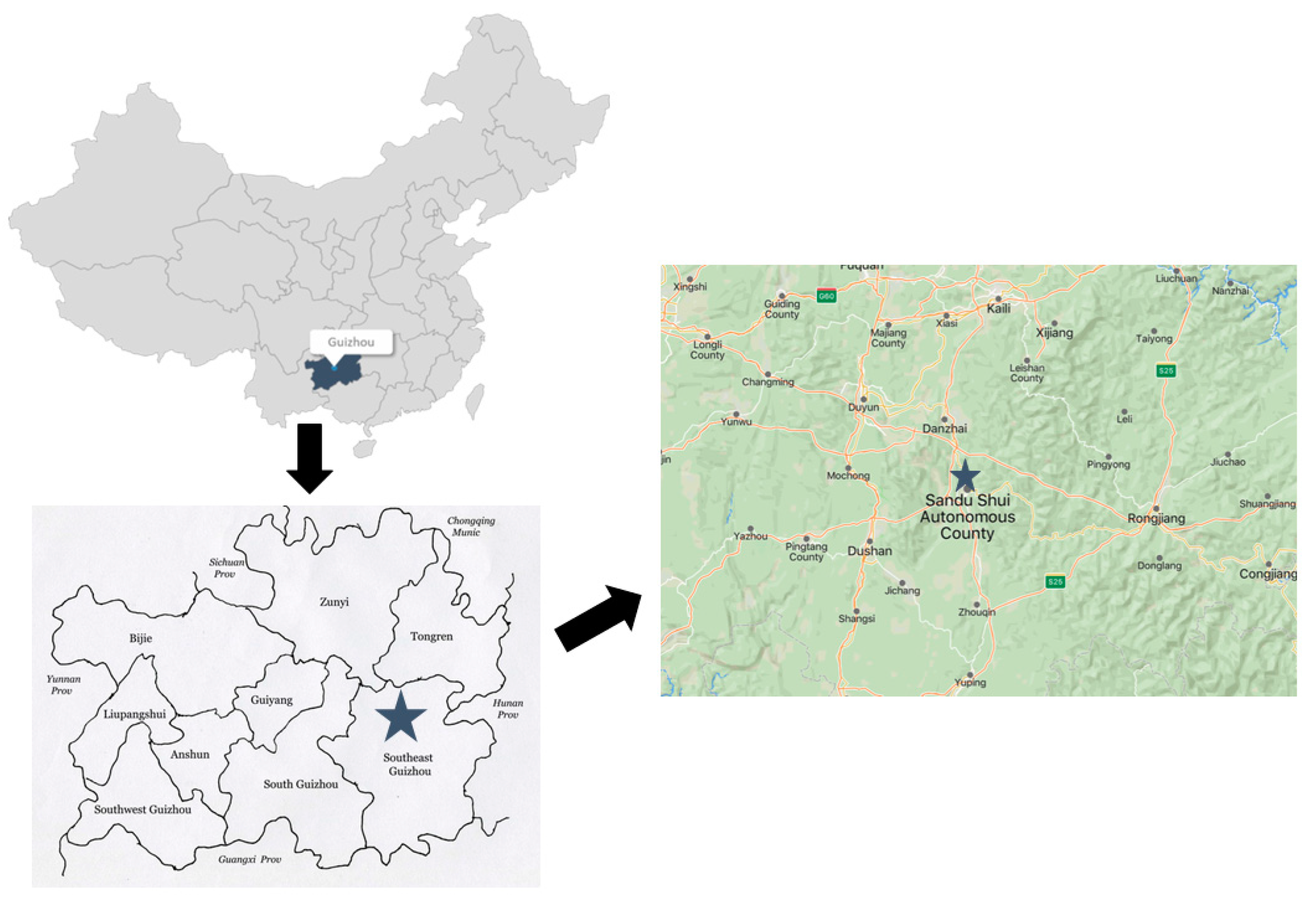 Toxics 11 00224 g001