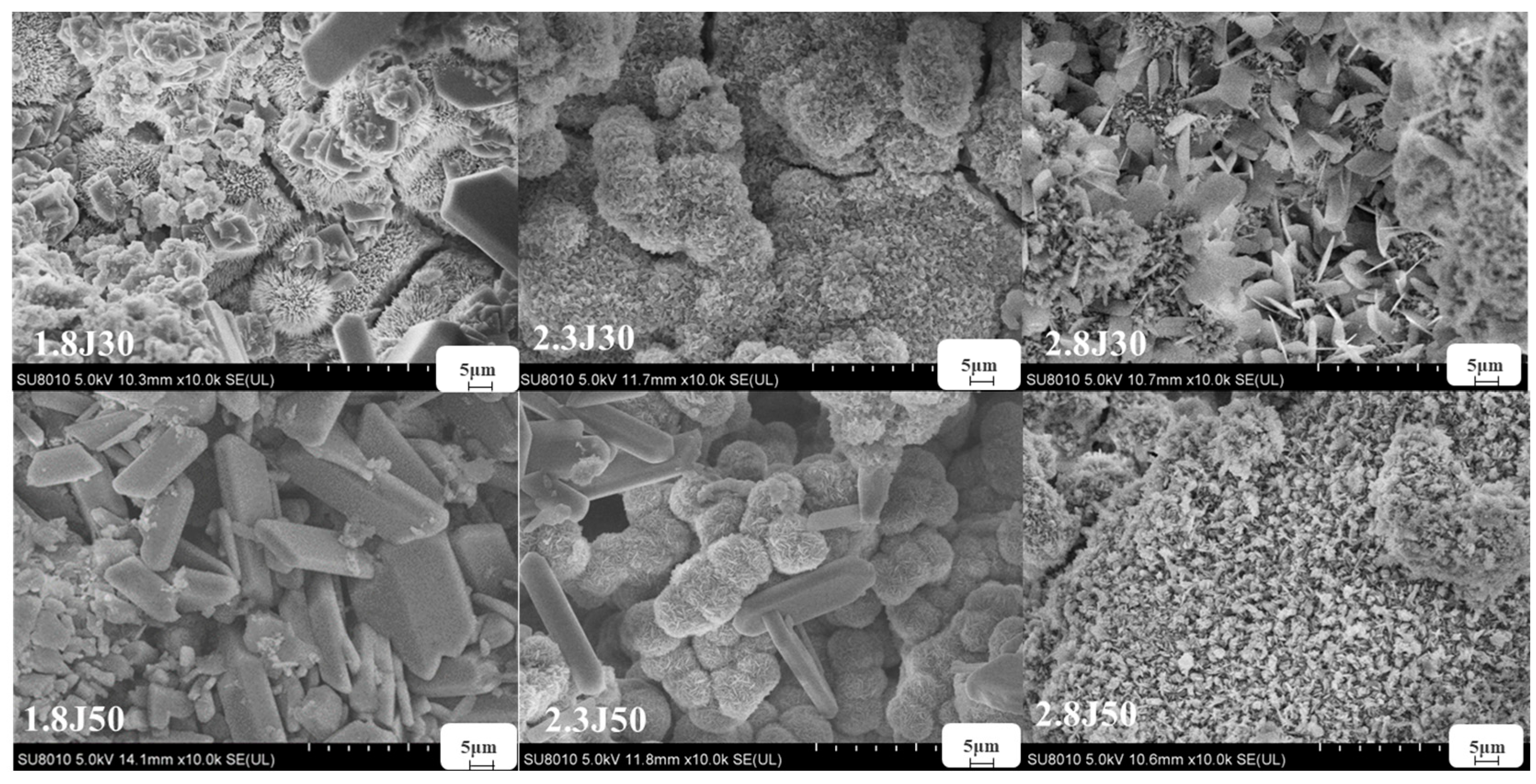 Toxics 11 00224 g009