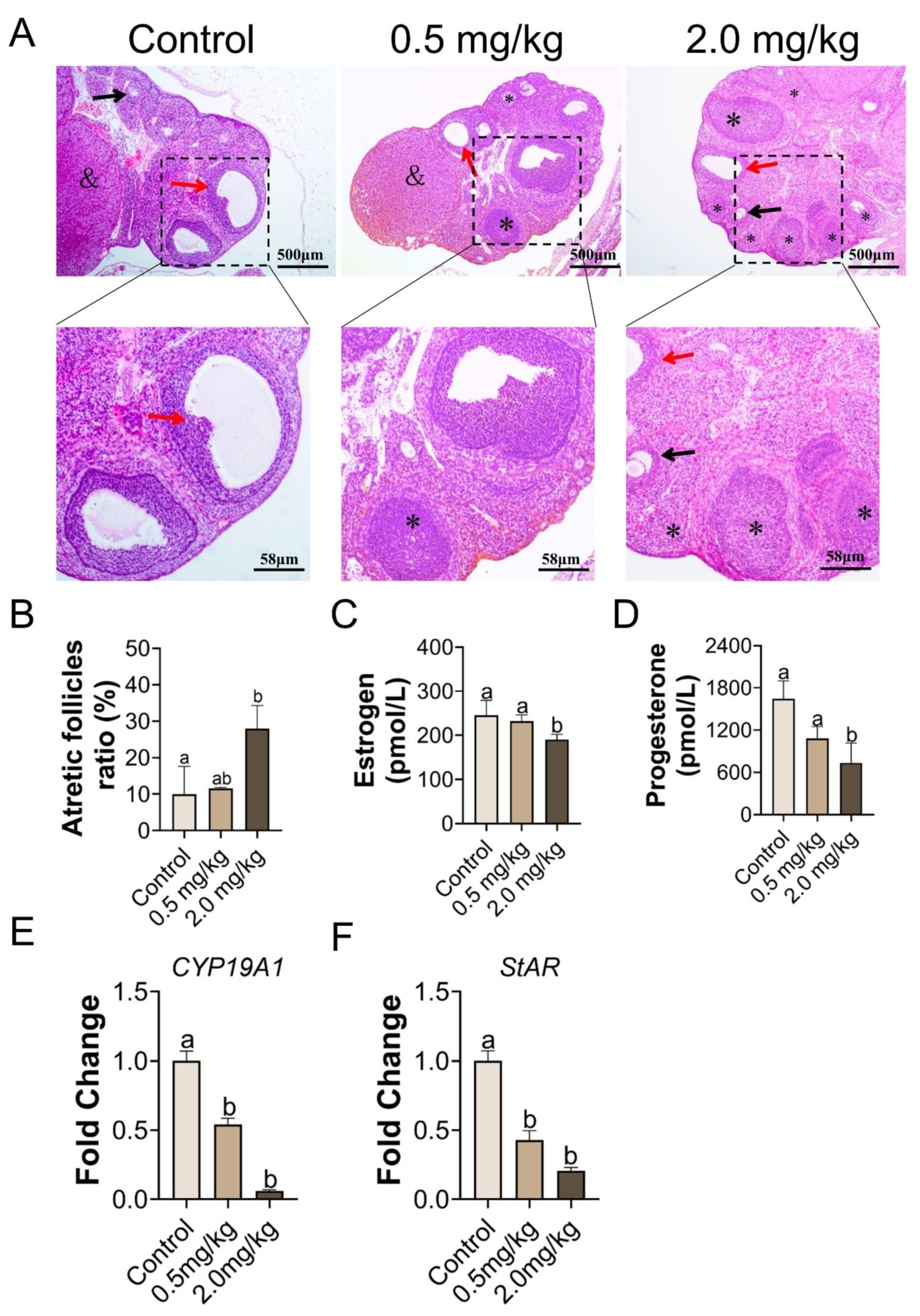 Toxics 11 00225 g002