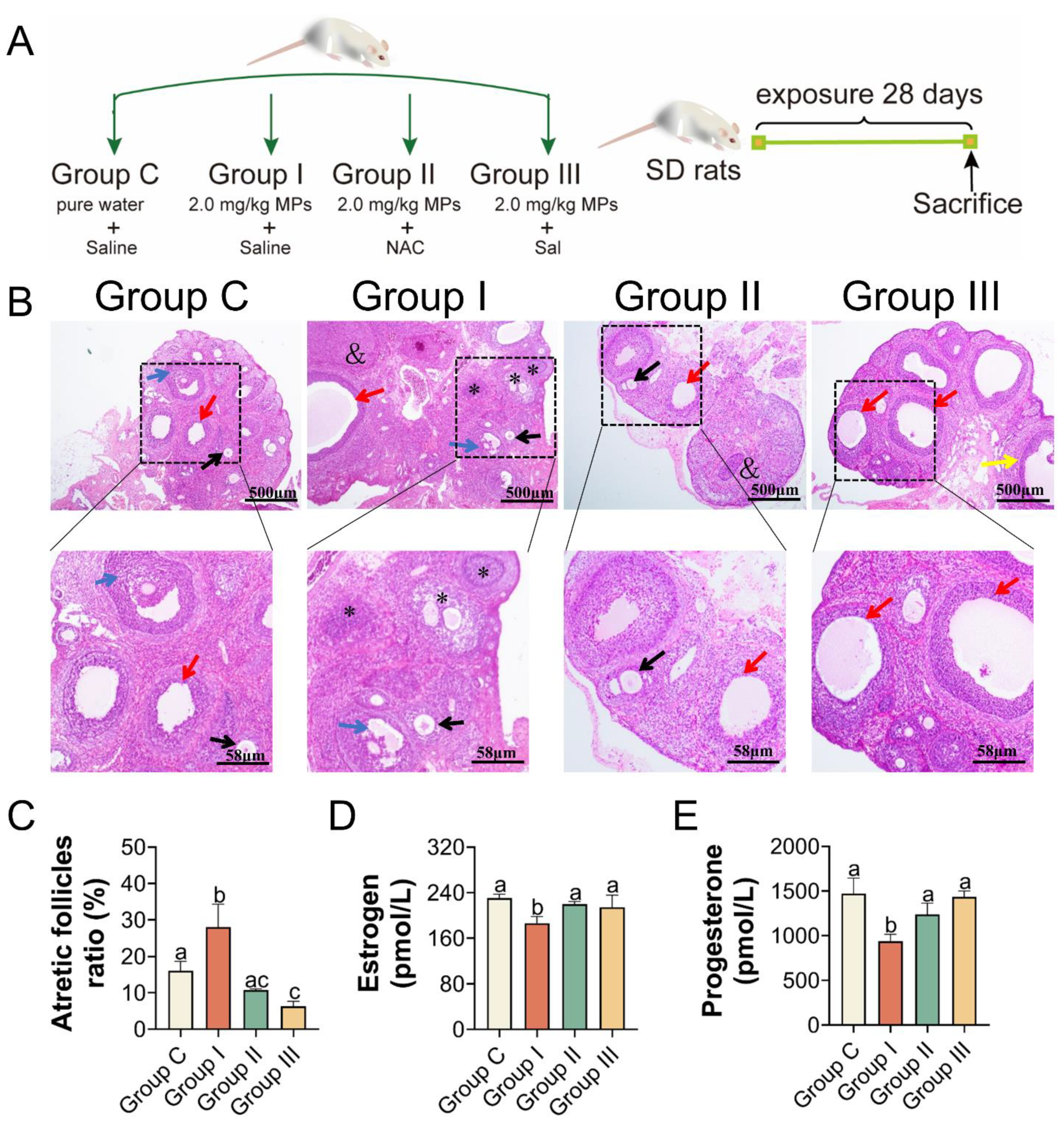 Toxics 11 00225 g005