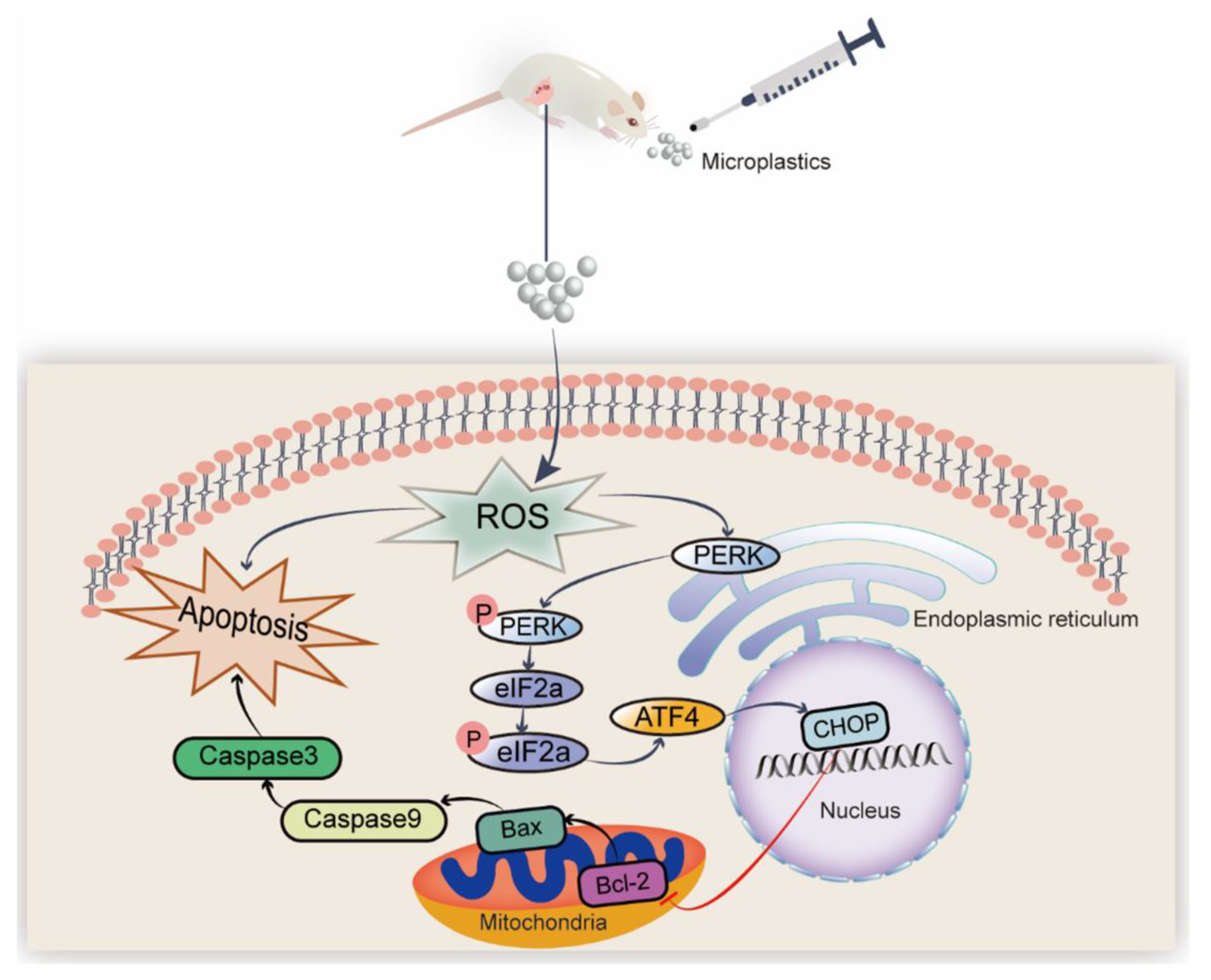 Toxics 11 00225 g008