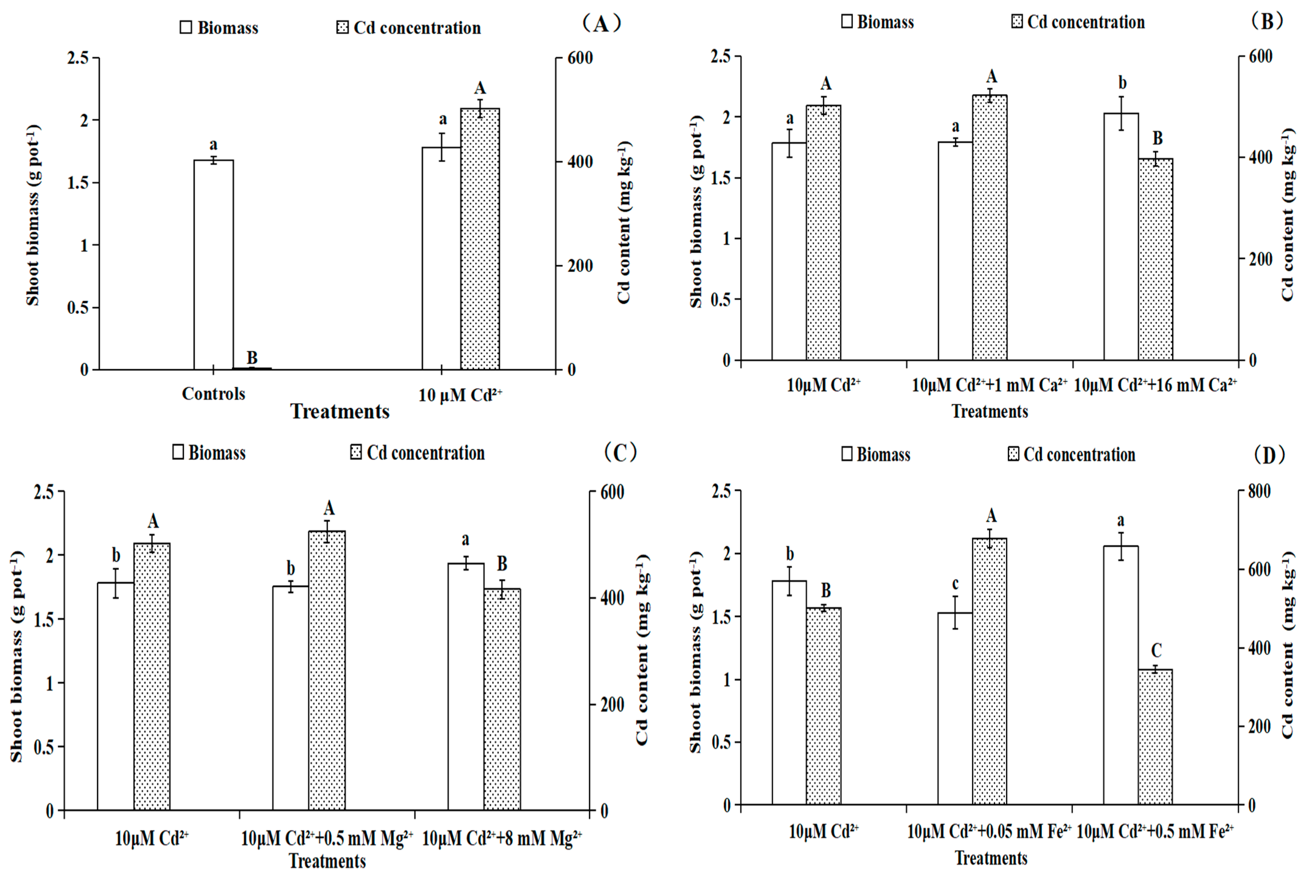 Toxics 11 00227 g002a Toxics 11 00227 g002a