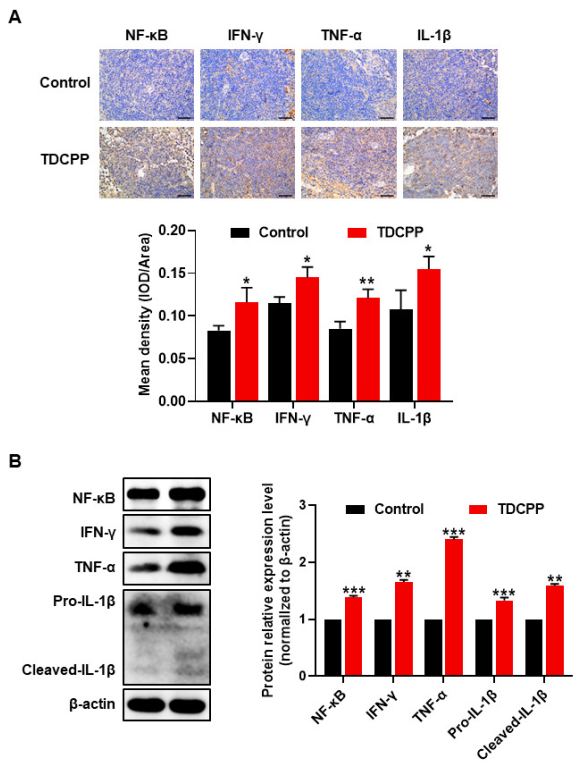 Toxics 11 00231 g002 Toxics 11 00231 g002