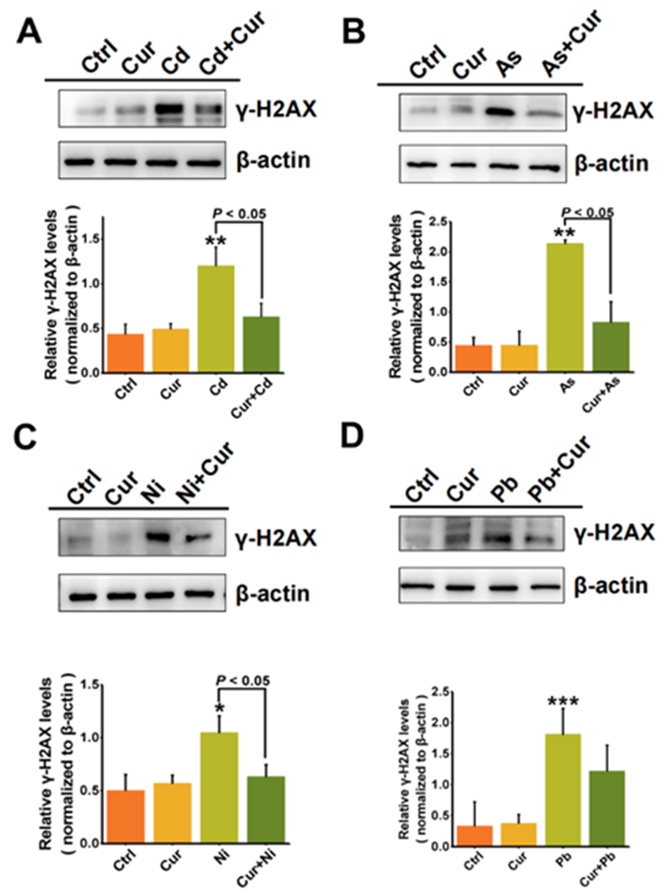Toxics 11 00233 g005