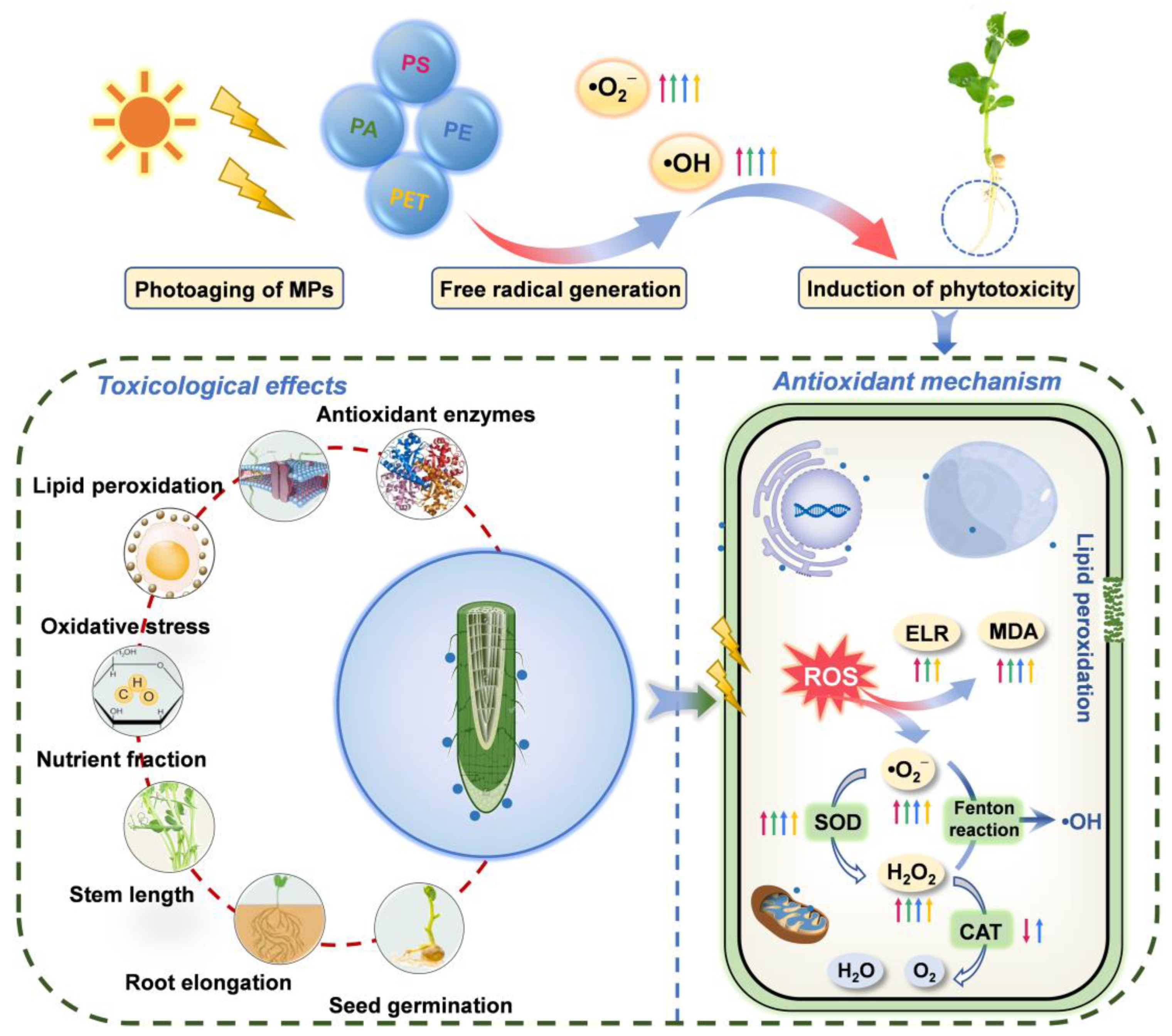 Toxics 11 00242 g006