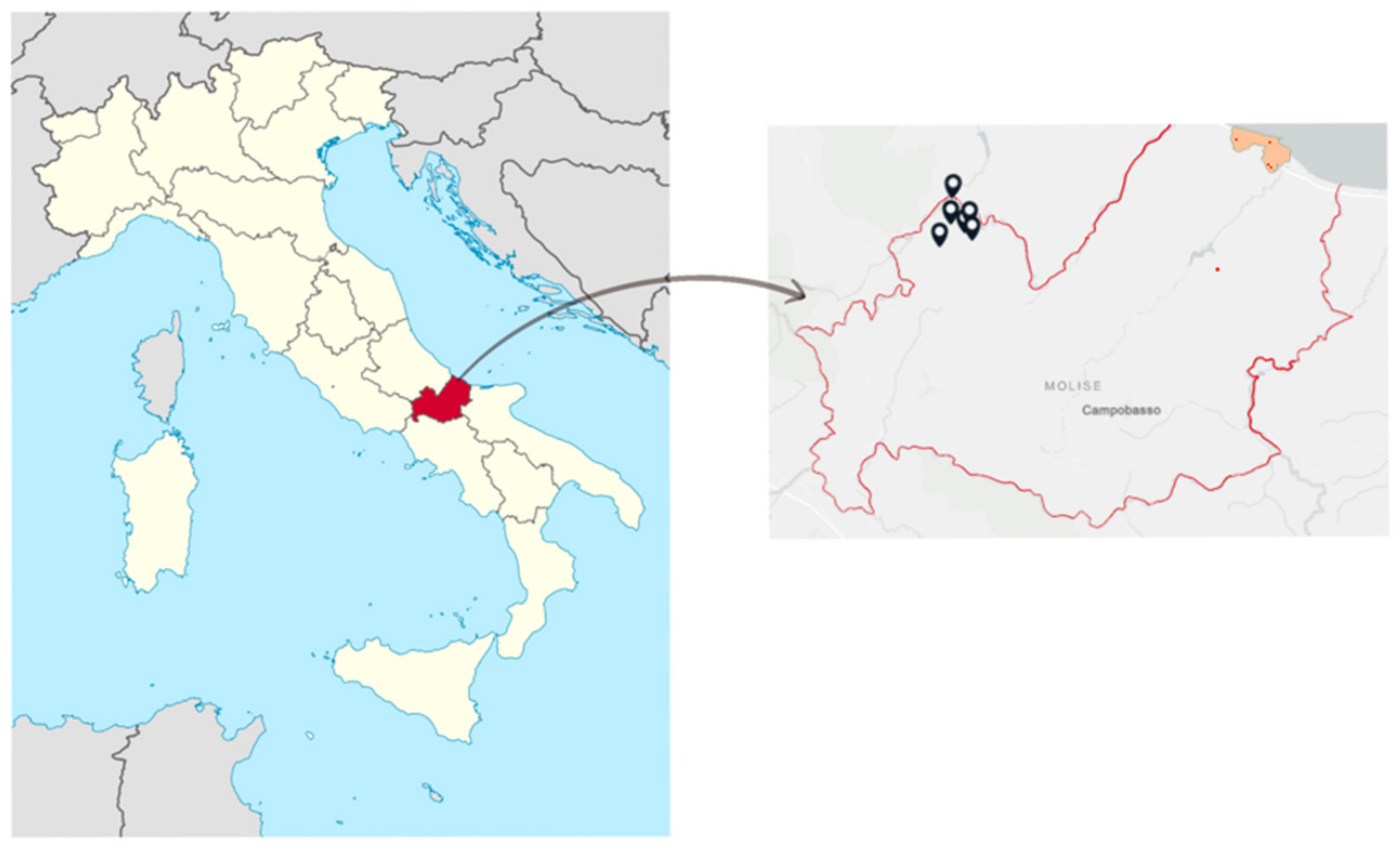 Toxics 11 00250 g001