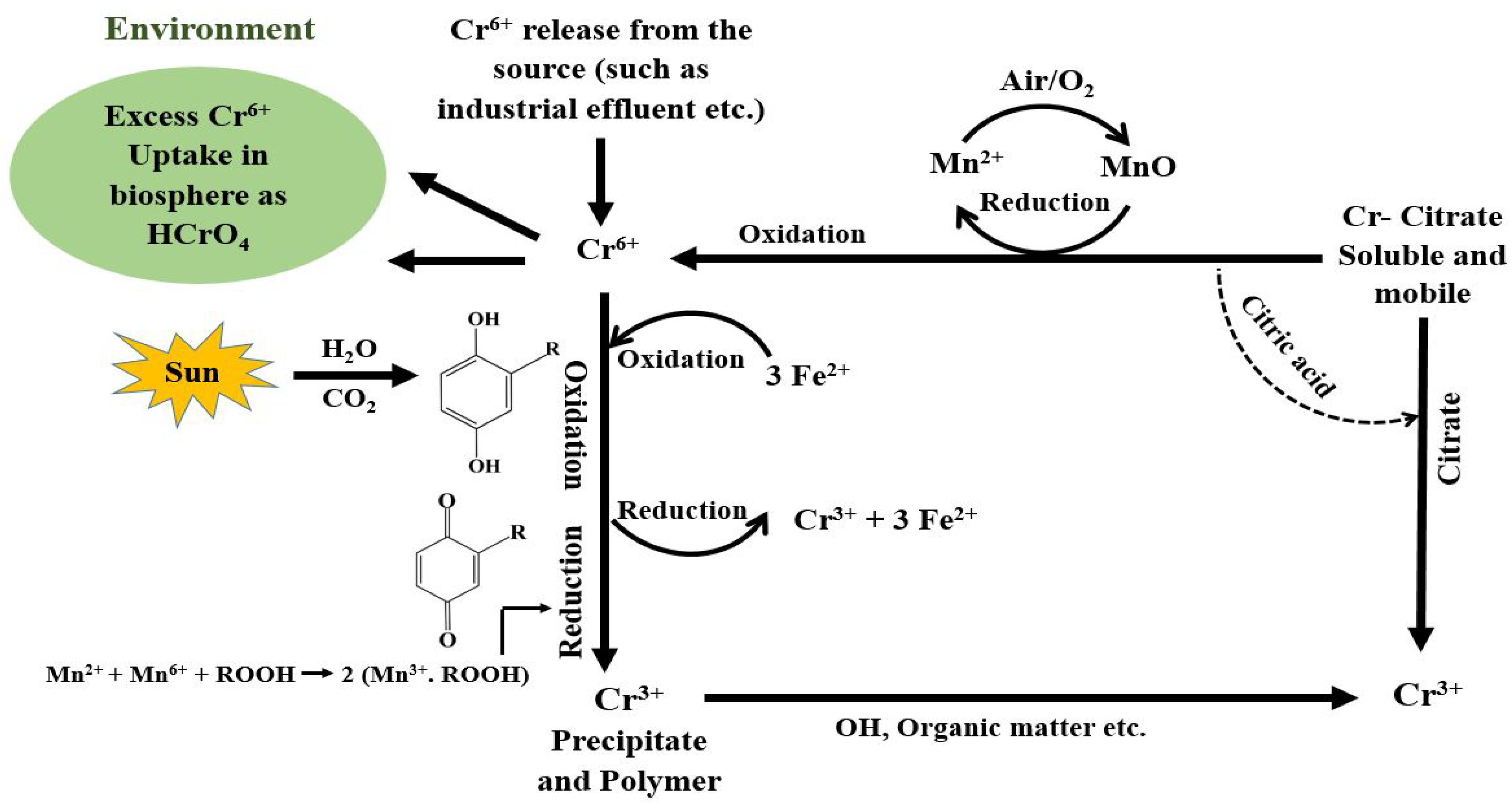 Toxics 11 00252 g001 Toxics 11 00252 g001