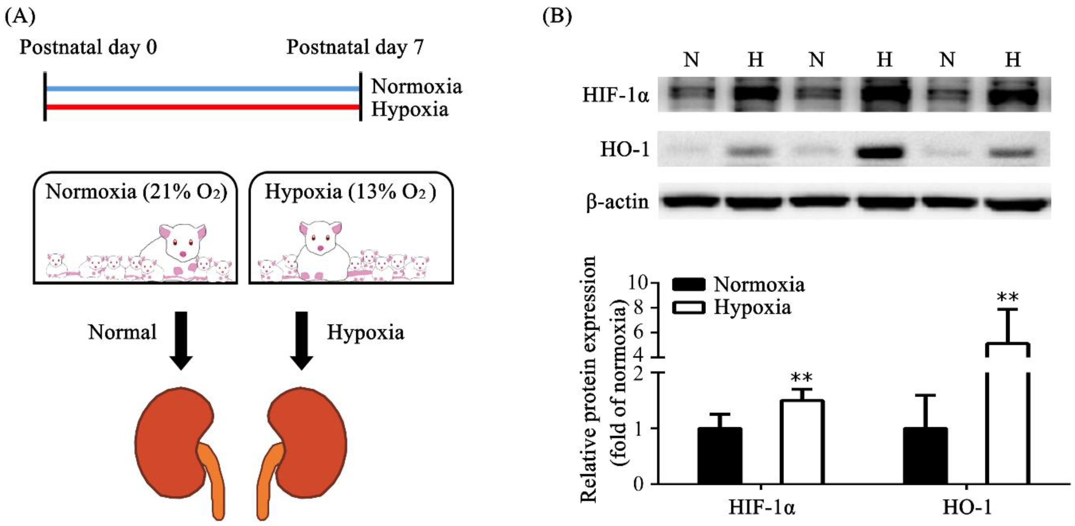 Toxics 11 00260 g001