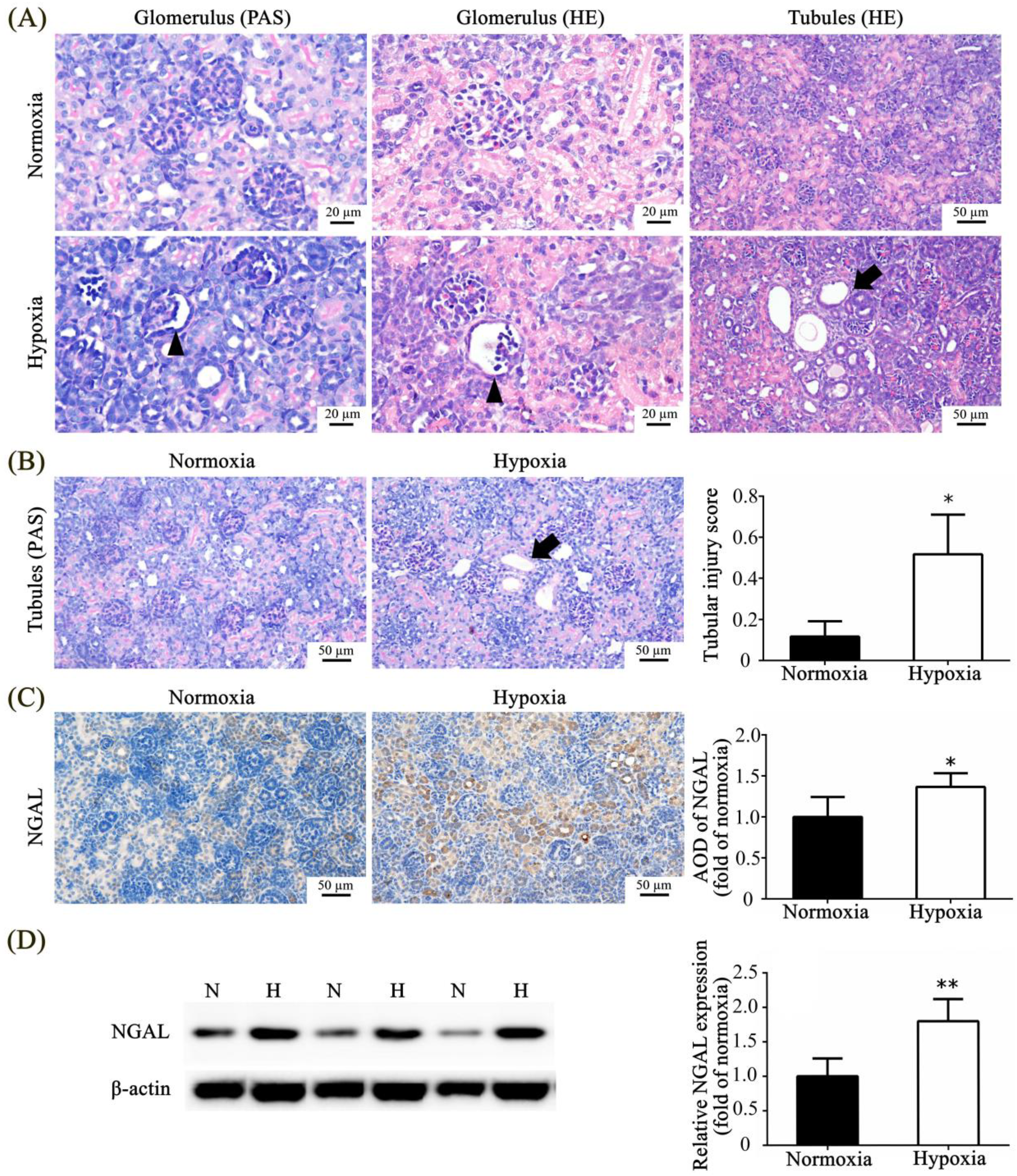 Toxics 11 00260 g002