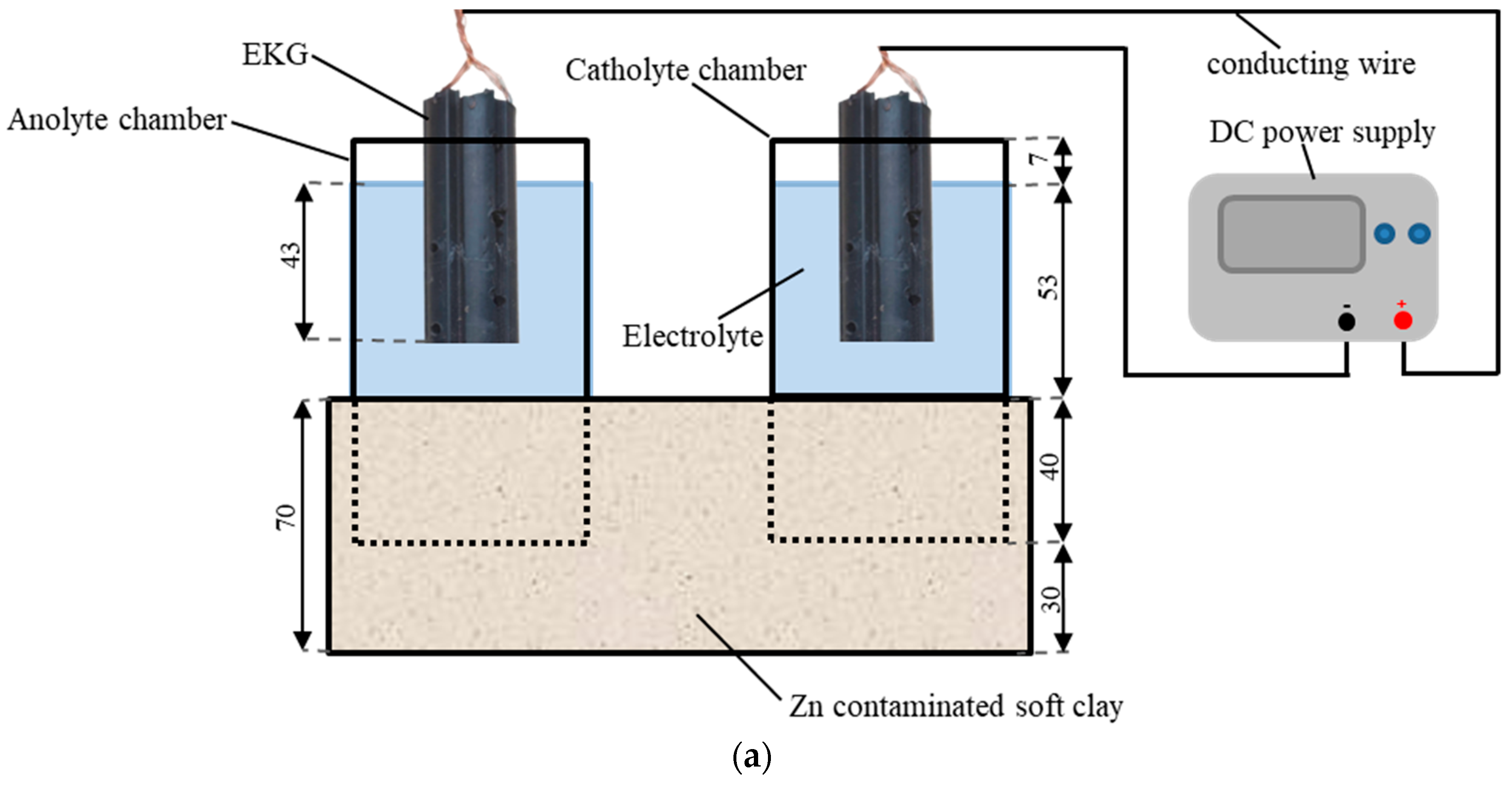 Toxics 11 00263 g001a