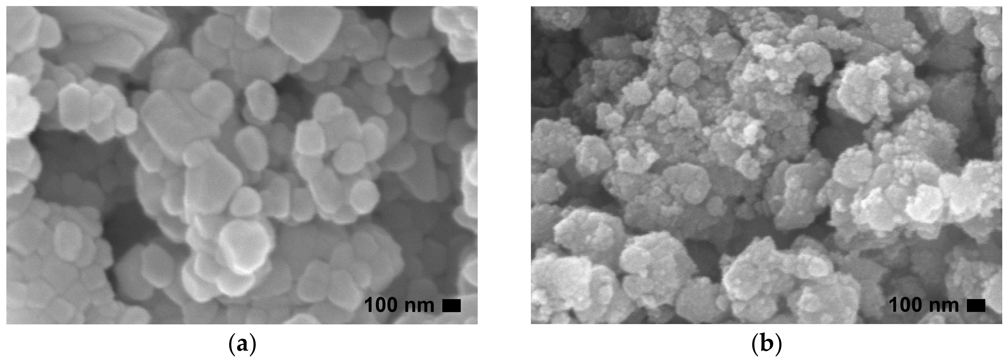 Toxics 11 00266 g002