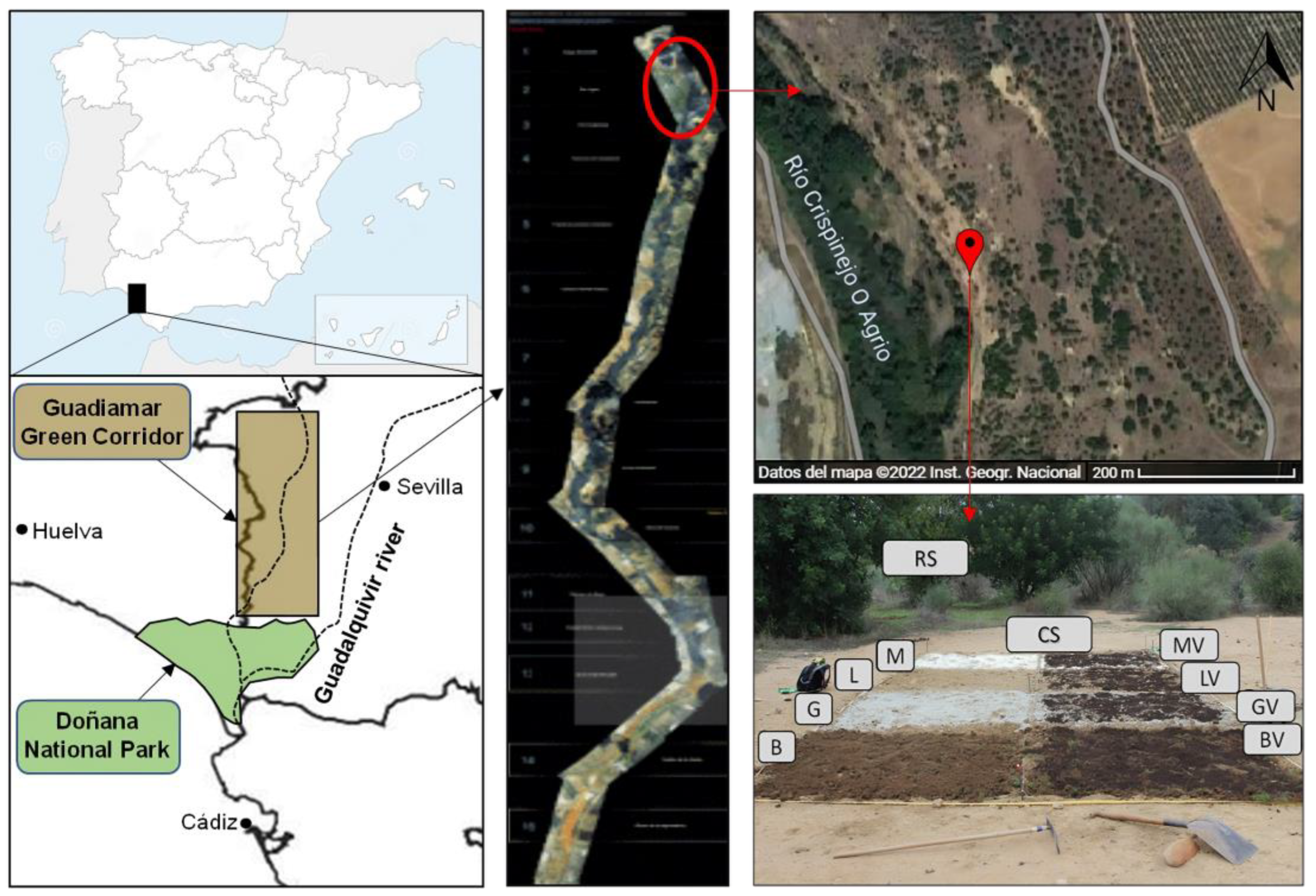 Toxics 11 00298 g001