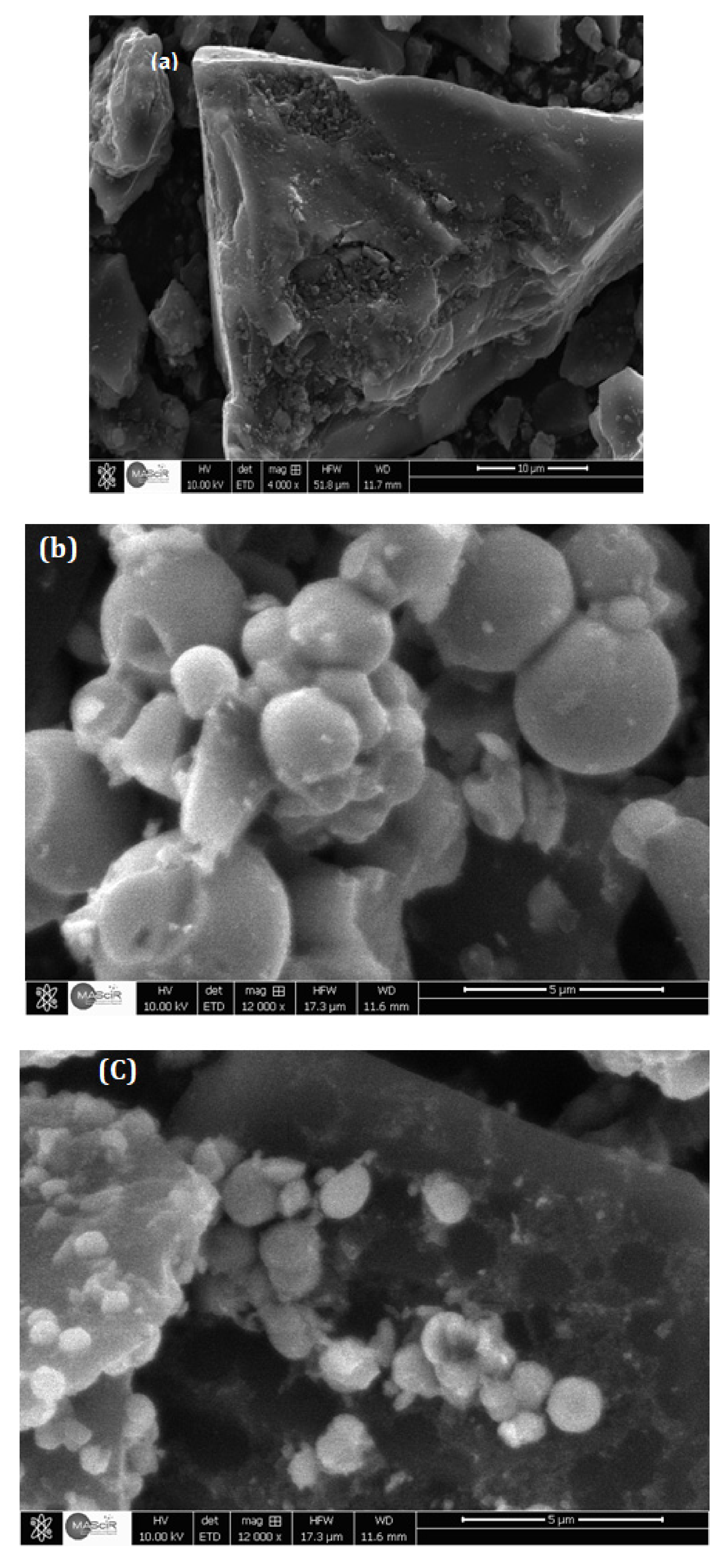Toxics 11 00299 g003a