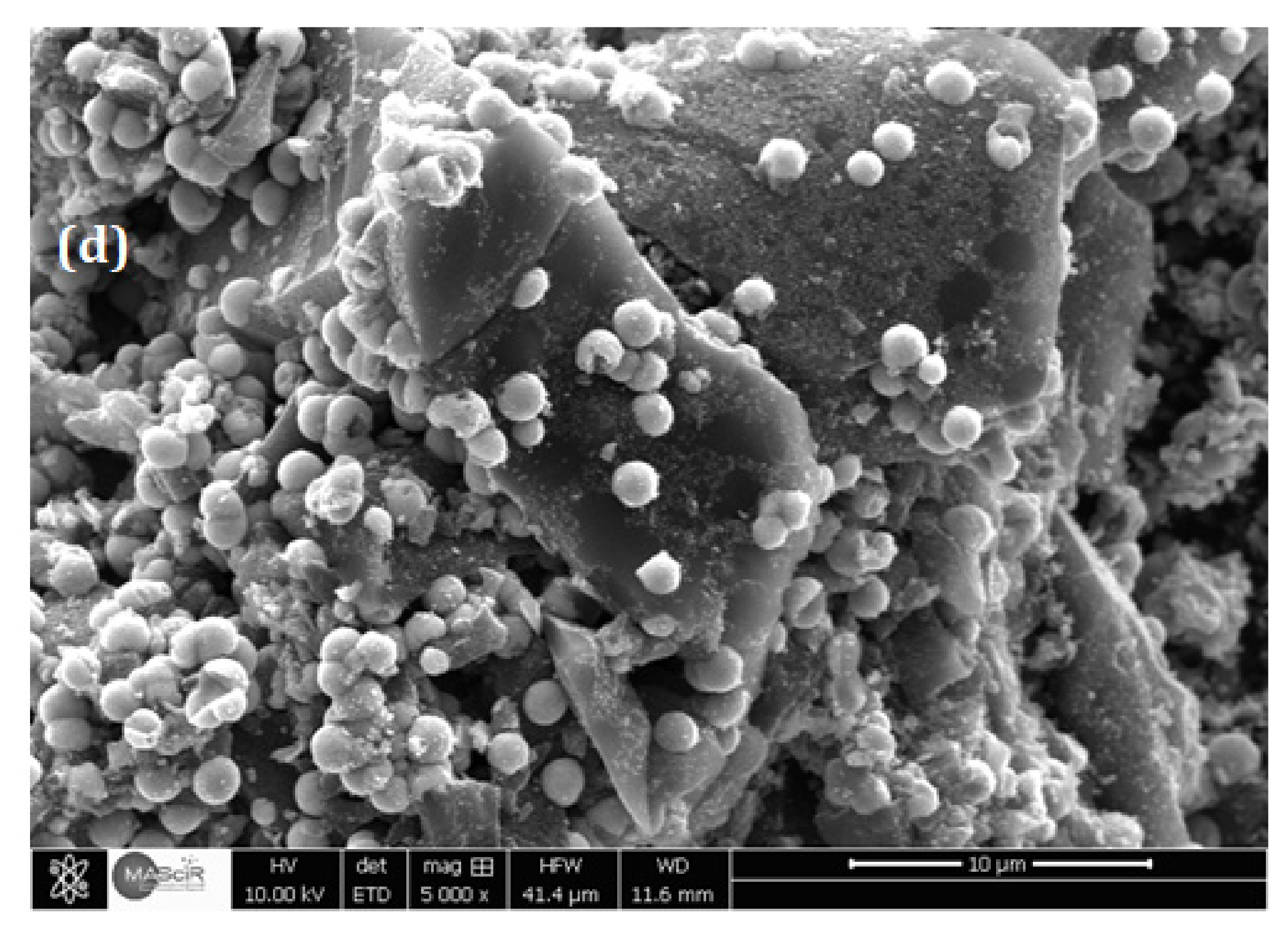 Toxics 11 00299 g003b