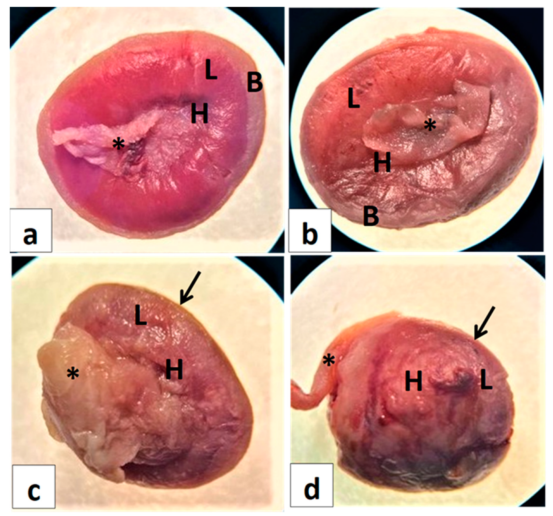 Toxics 11 00303 g004