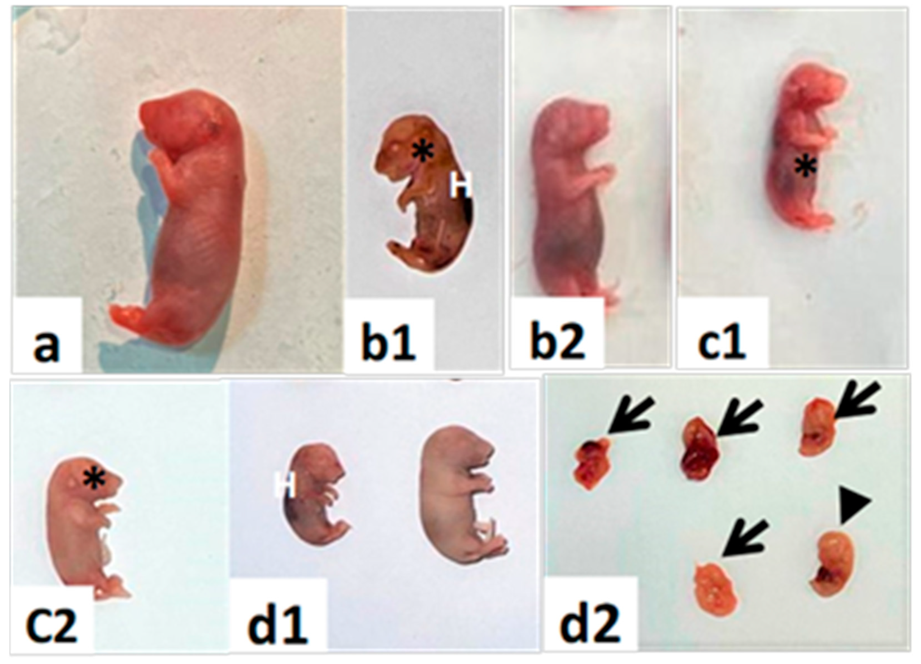 Toxics 11 00303 g005