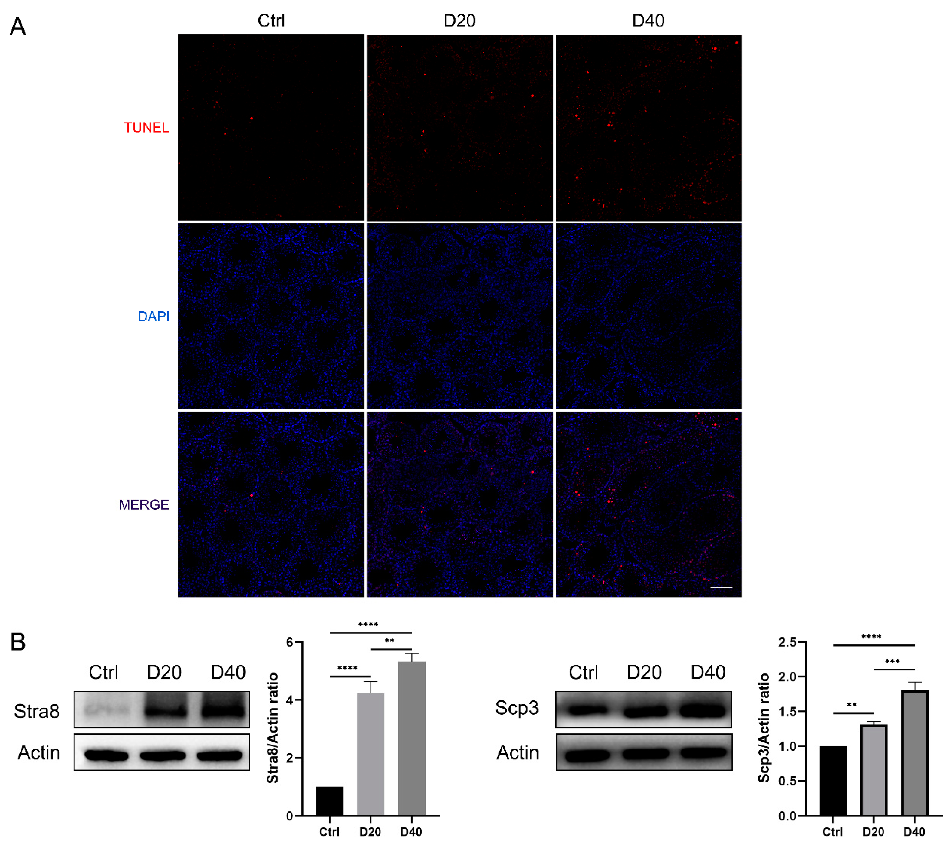 Toxics 11 00328 g003