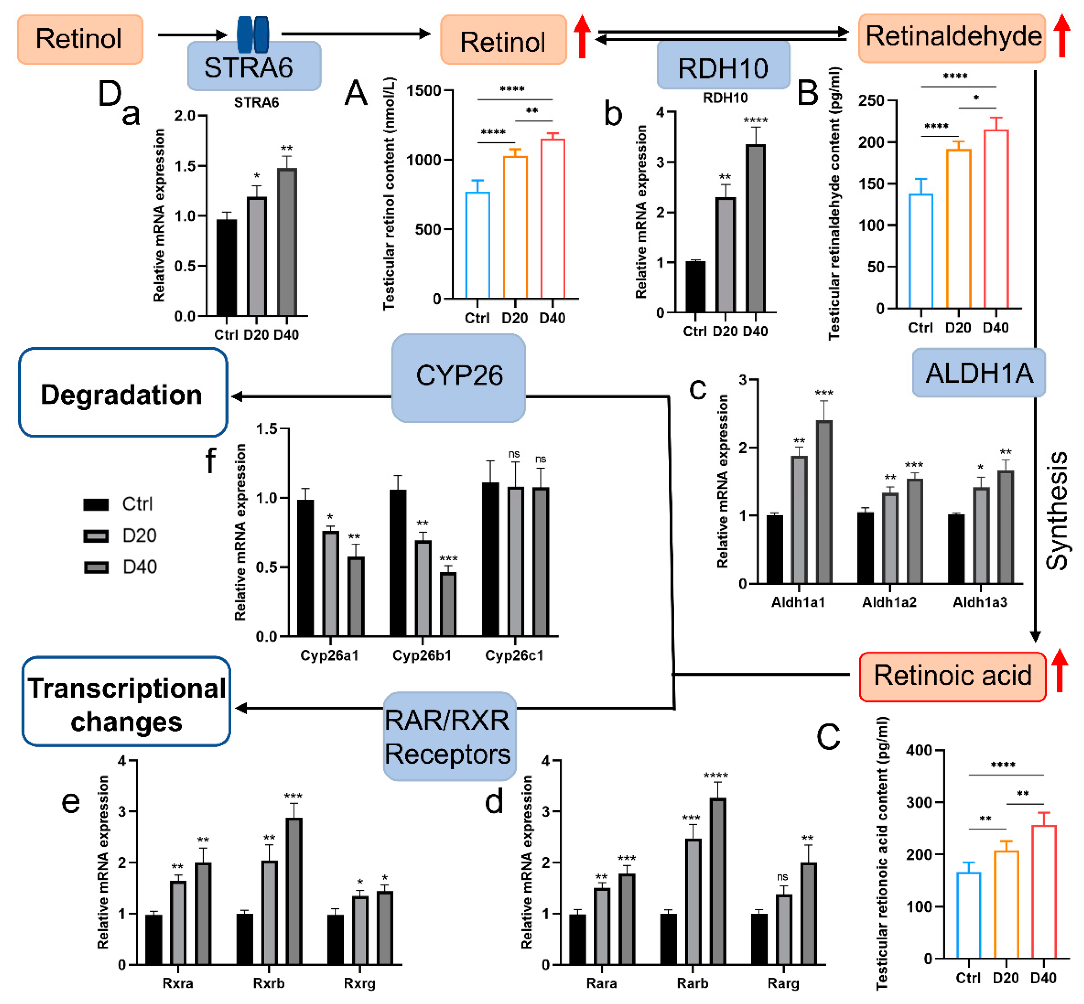 Toxics 11 00328 g004