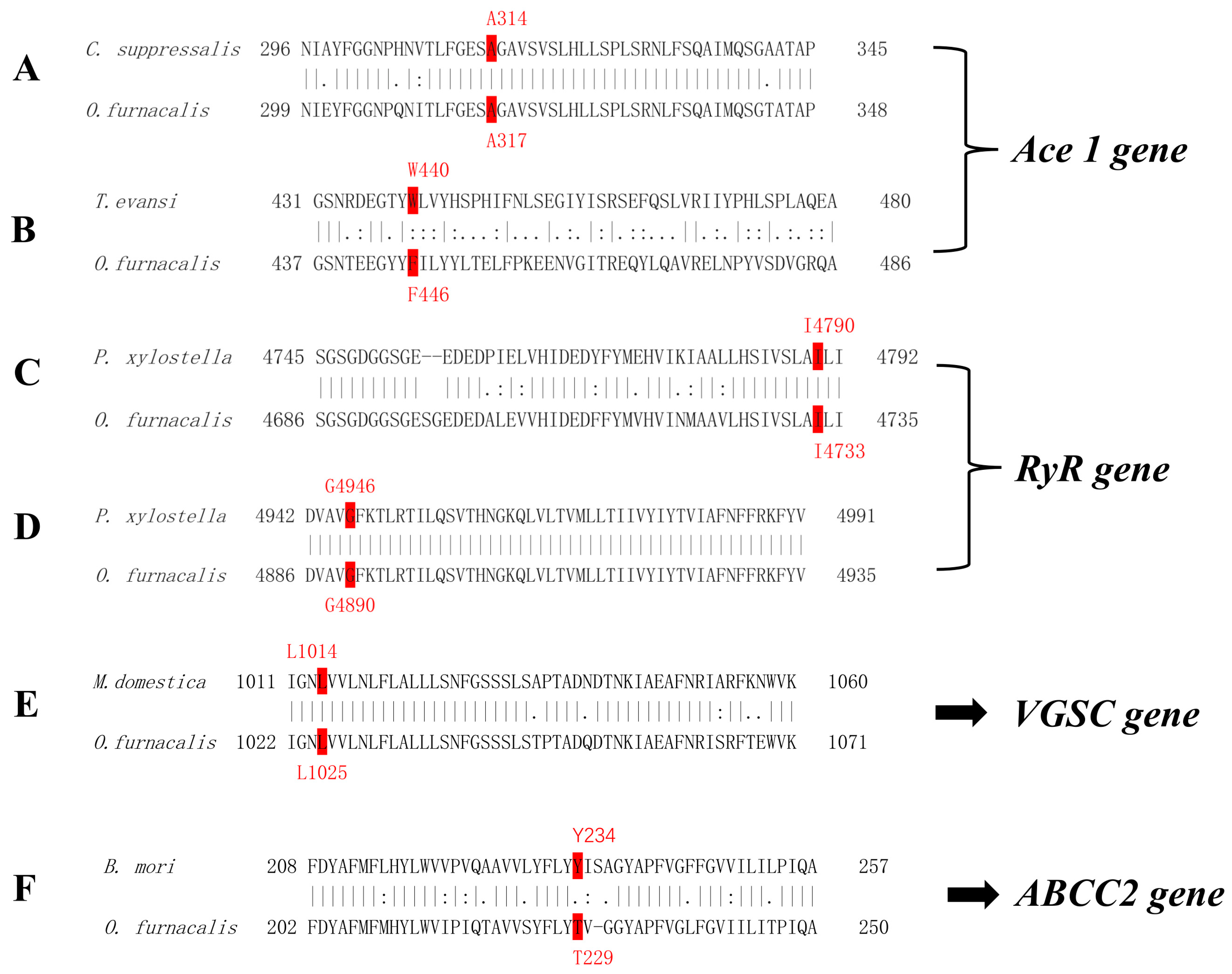 Toxics 11 00332 g001