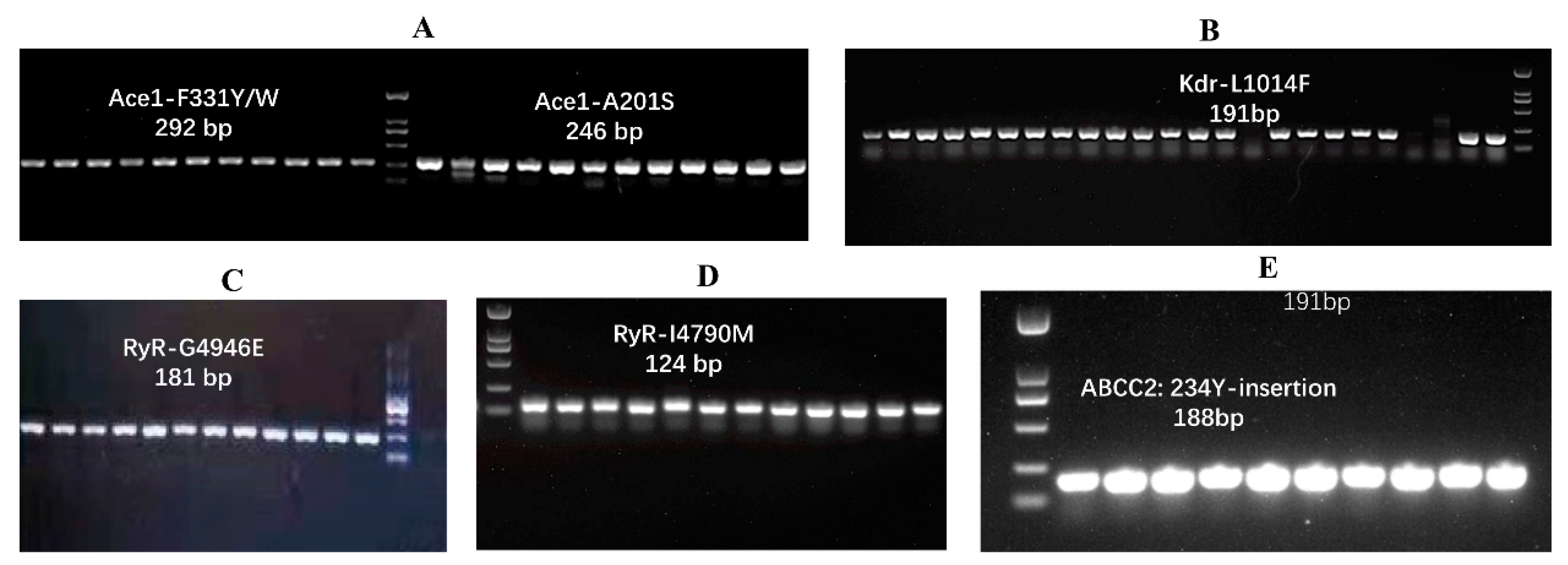 Toxics 11 00332 g002