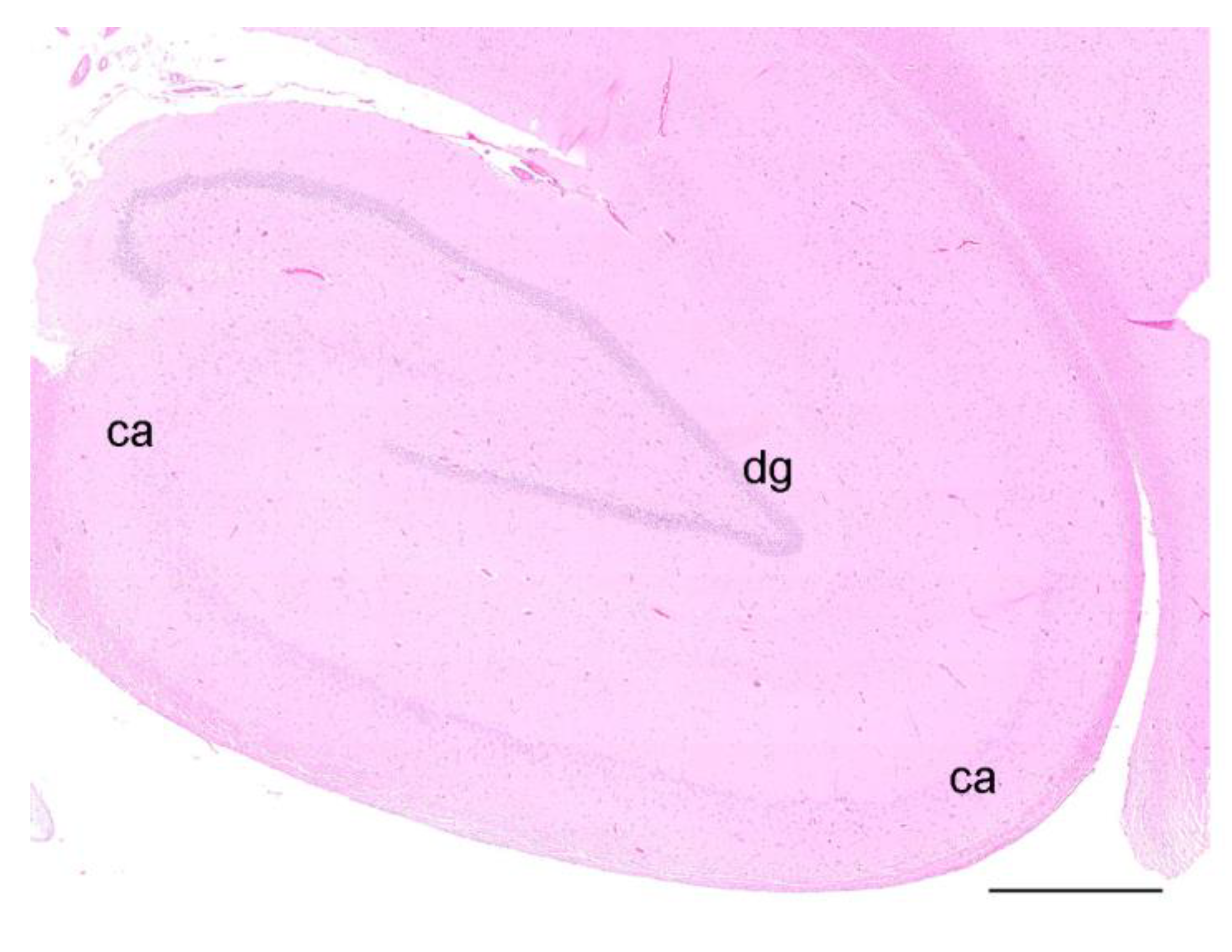 Toxics 11 00338 g002