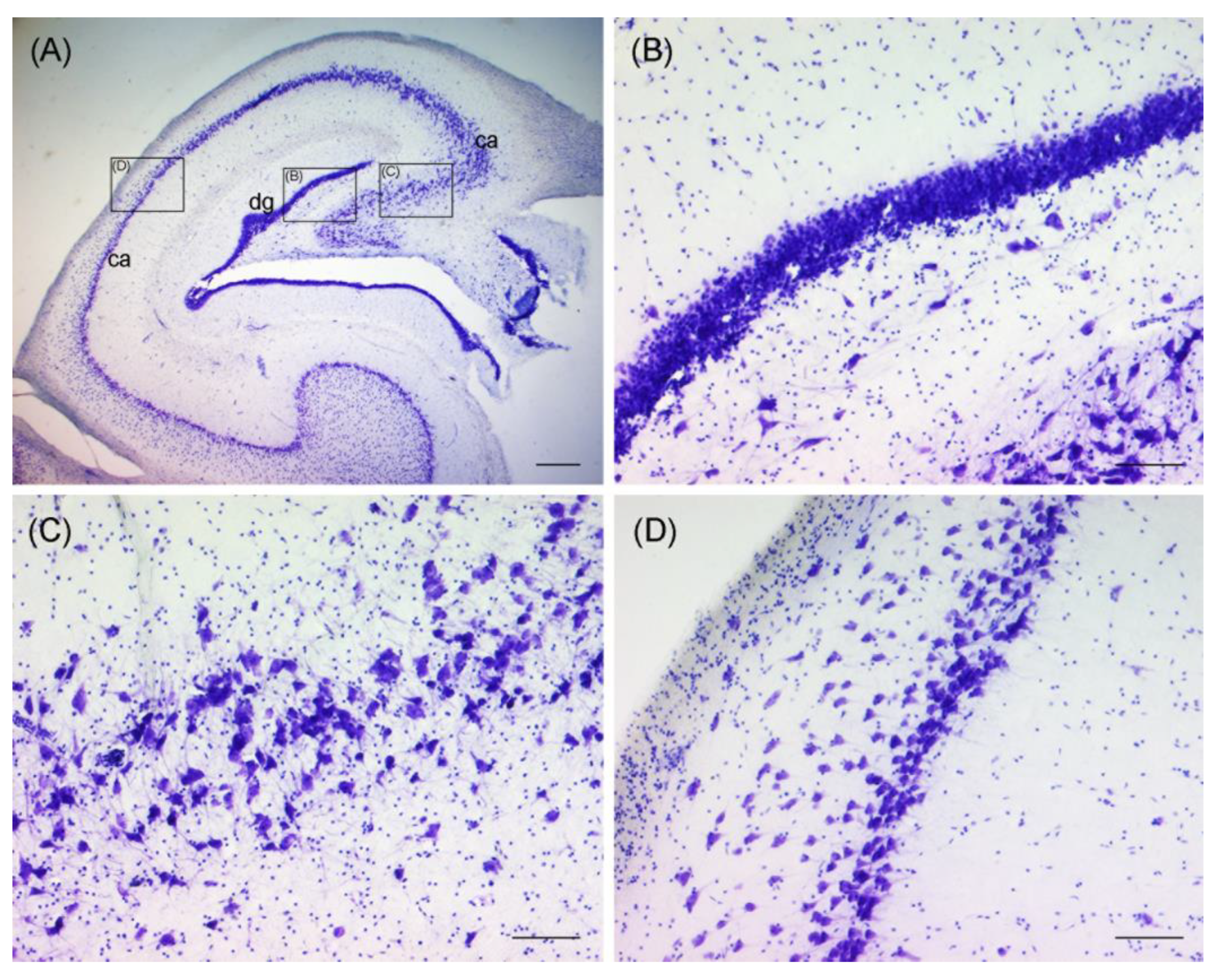 Toxics 11 00338 g003