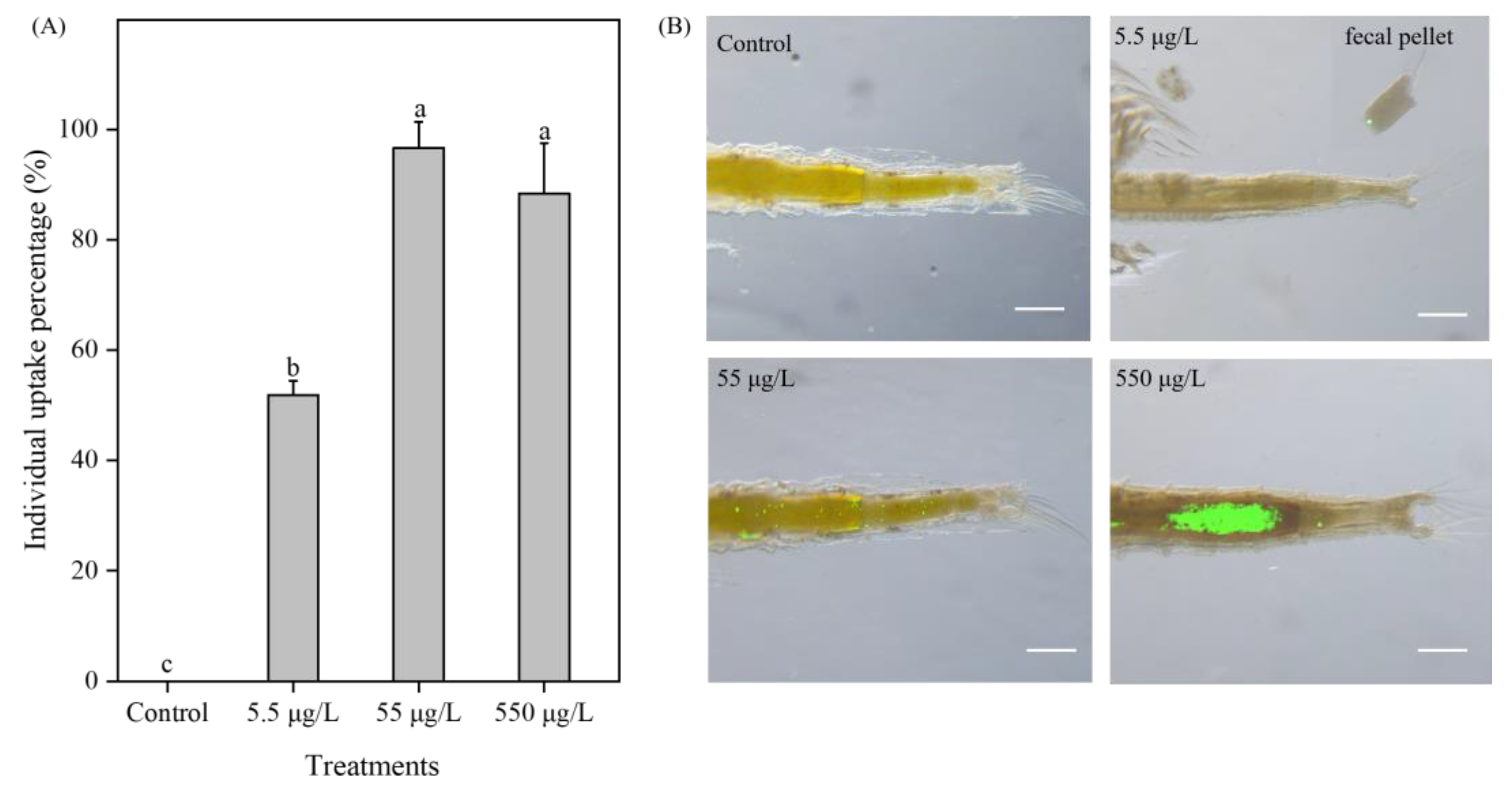 Toxics 11 00356 g005 Toxics 11 00356 g005
