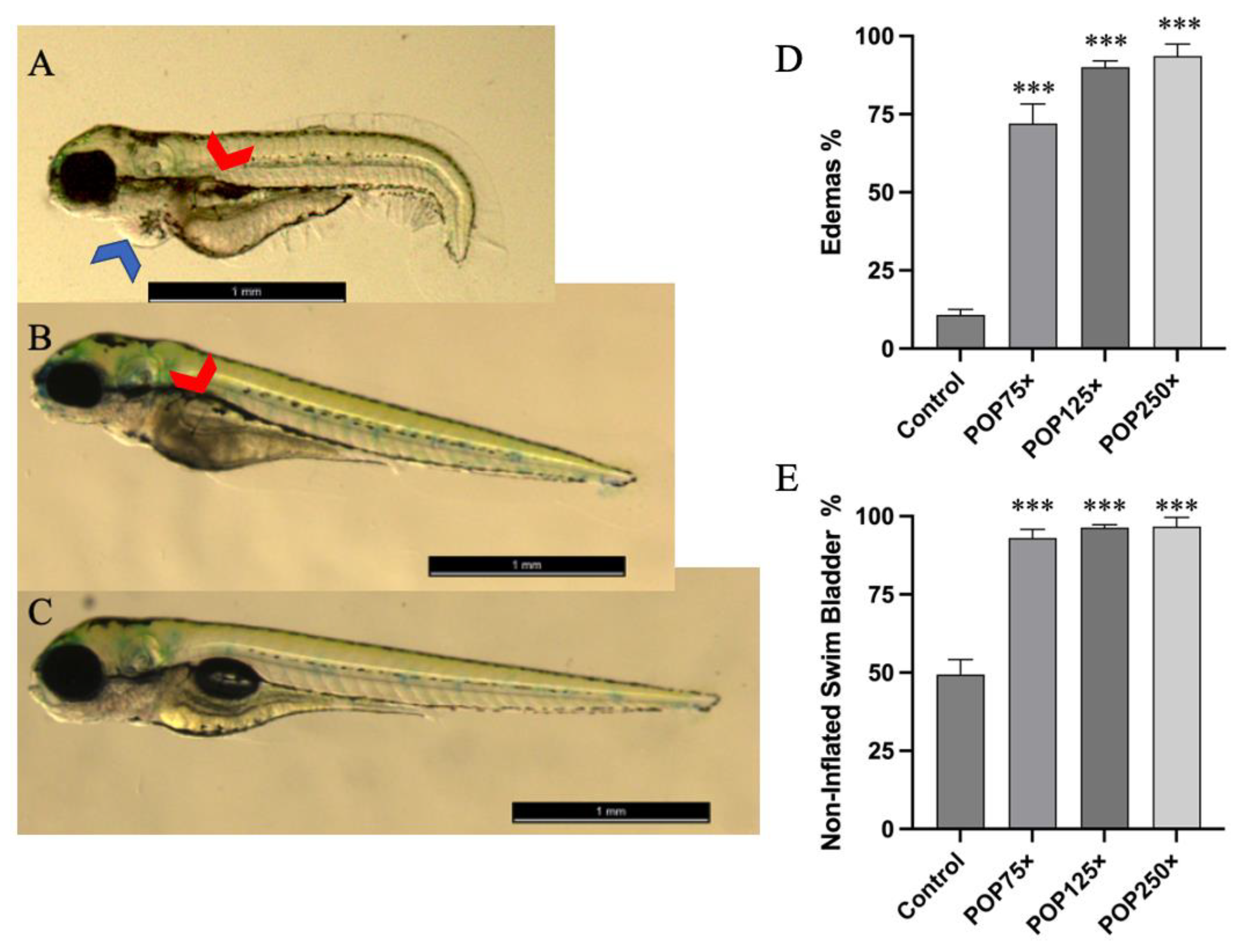 Toxics 11 00357 g002
