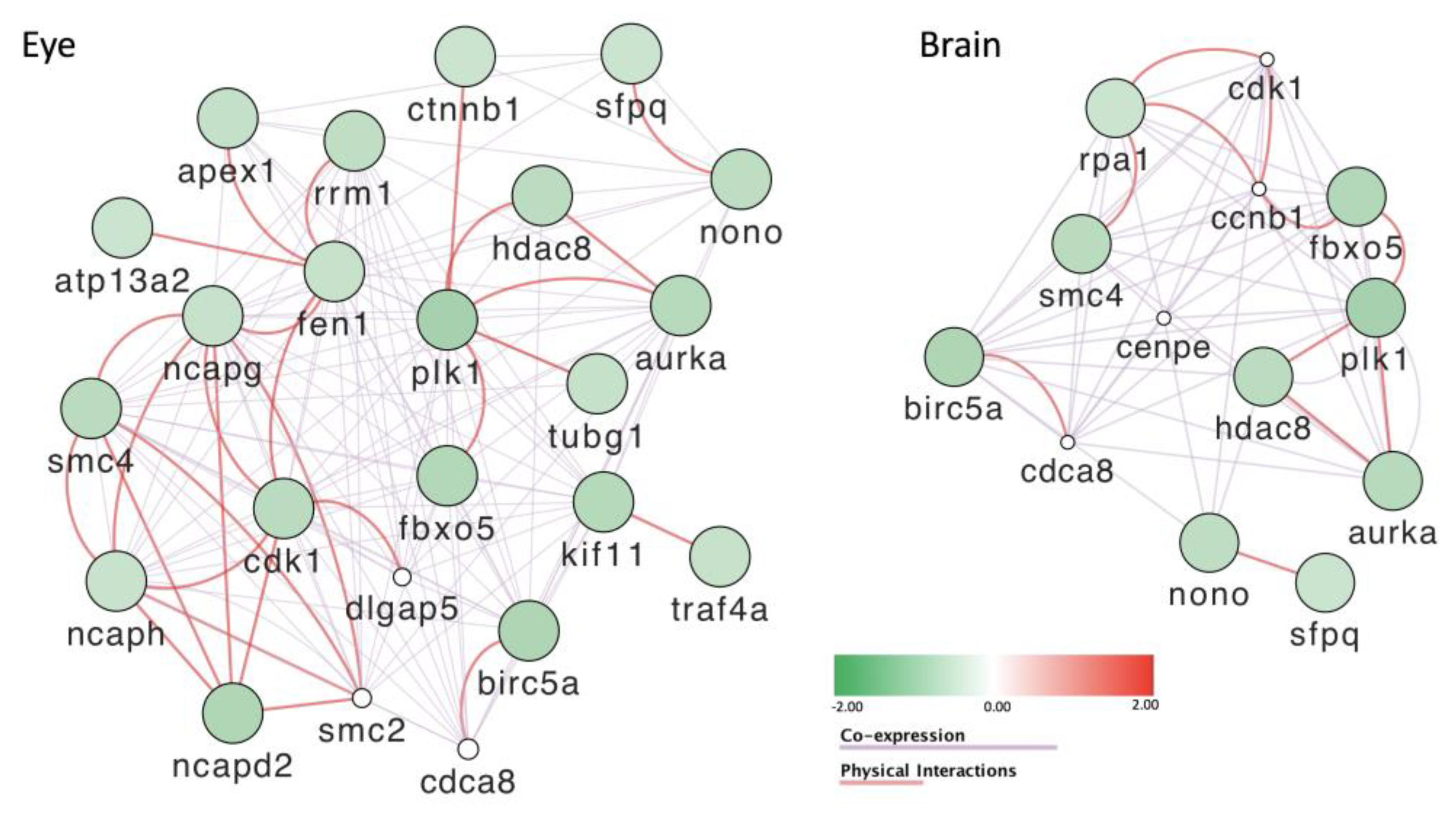 Toxics 11 00357 g011