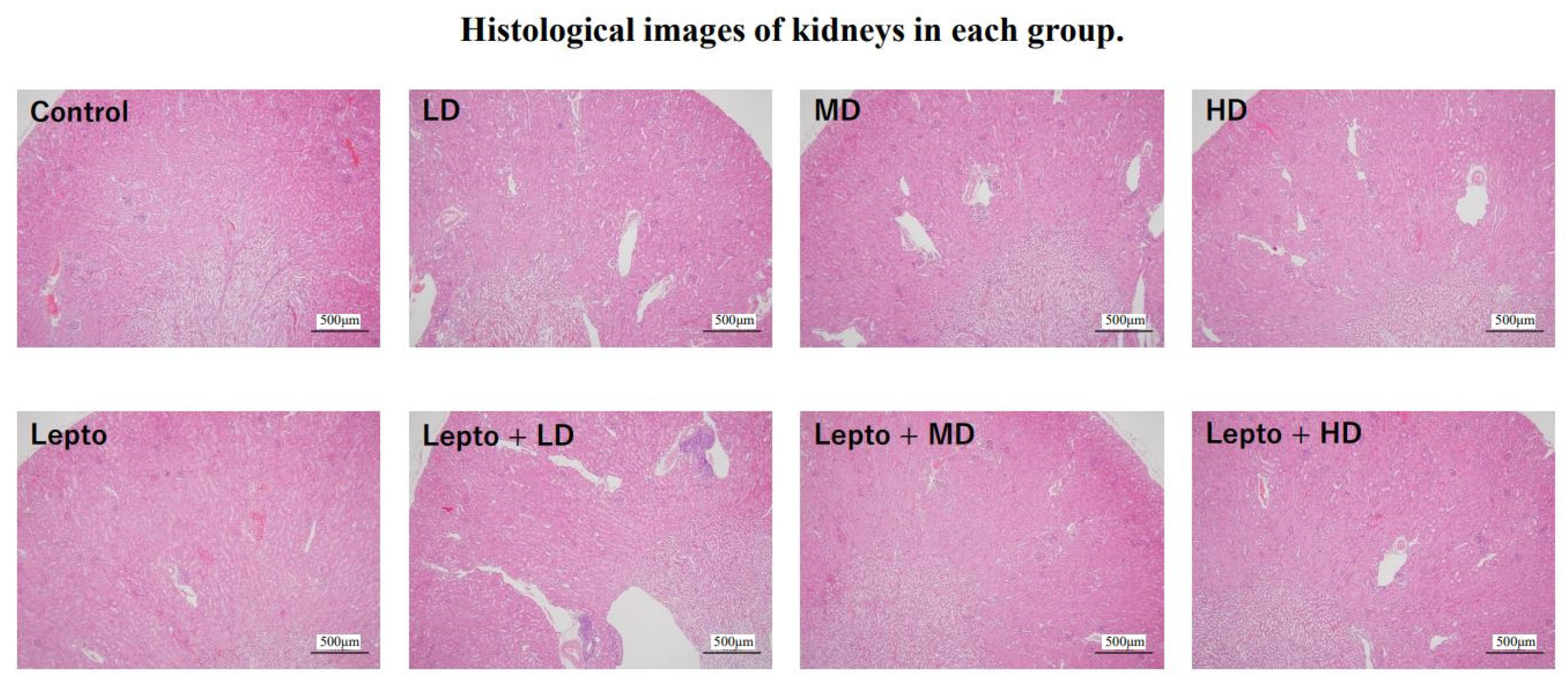 Toxics 11 00361 g005 Toxics 11 00361 g005