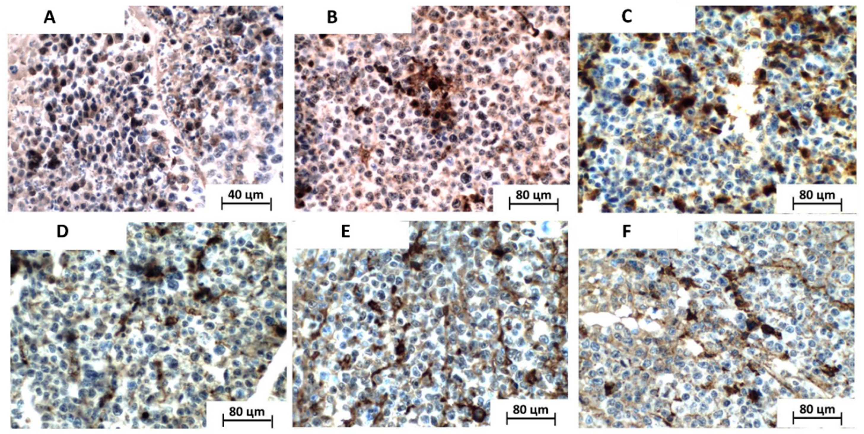 Toxics 11 00375 g005 Toxics 11 00375 g005