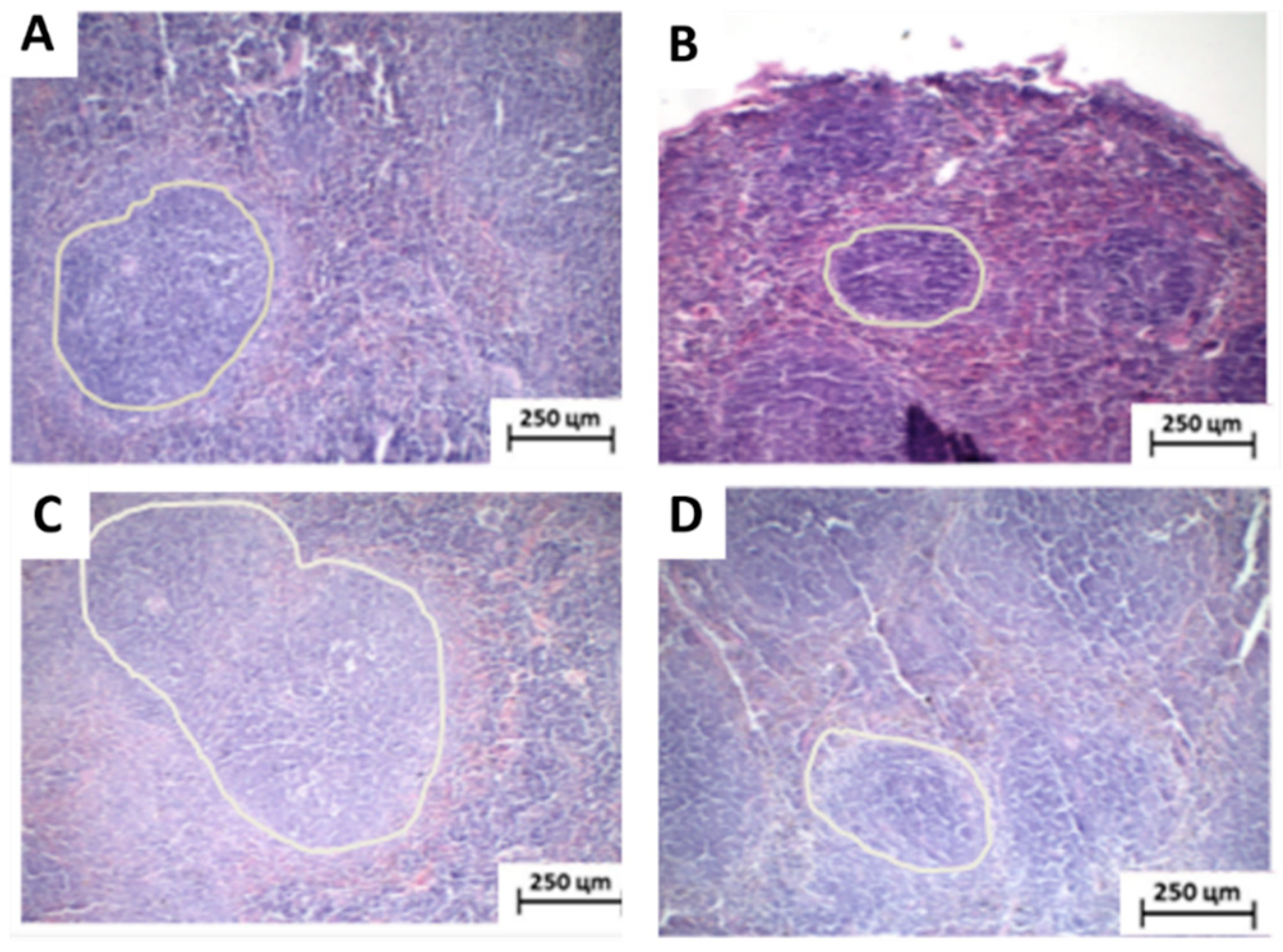 Toxics 11 00375 g007 Toxics 11 00375 g007