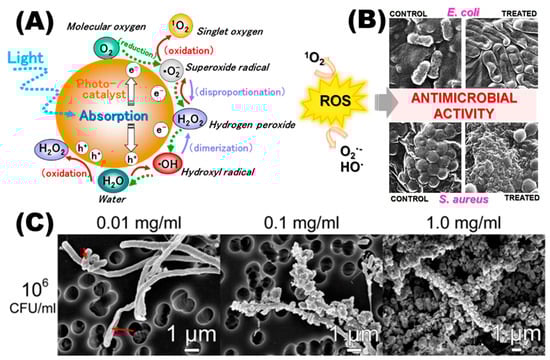 Toxics 11 00384 g002