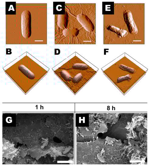 Toxics 11 00384 g005