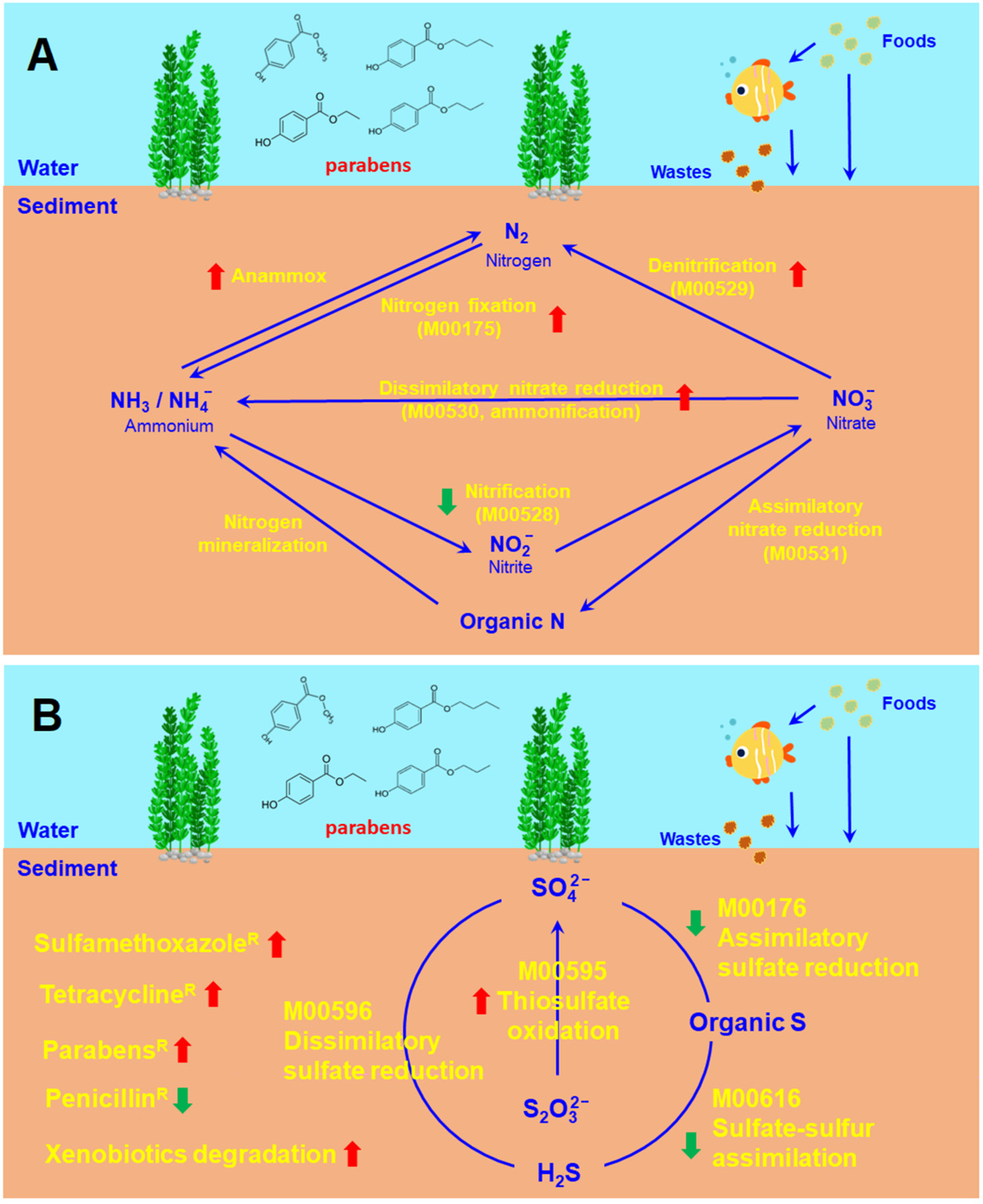 Toxics 11 00387 g008 Toxics 11 00387 g008