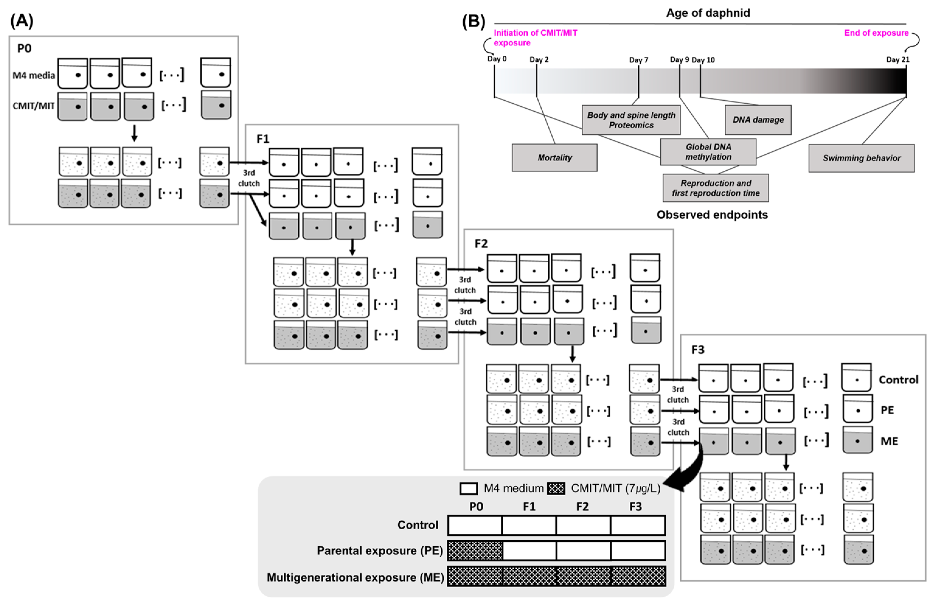 Toxics 11 00388 g001