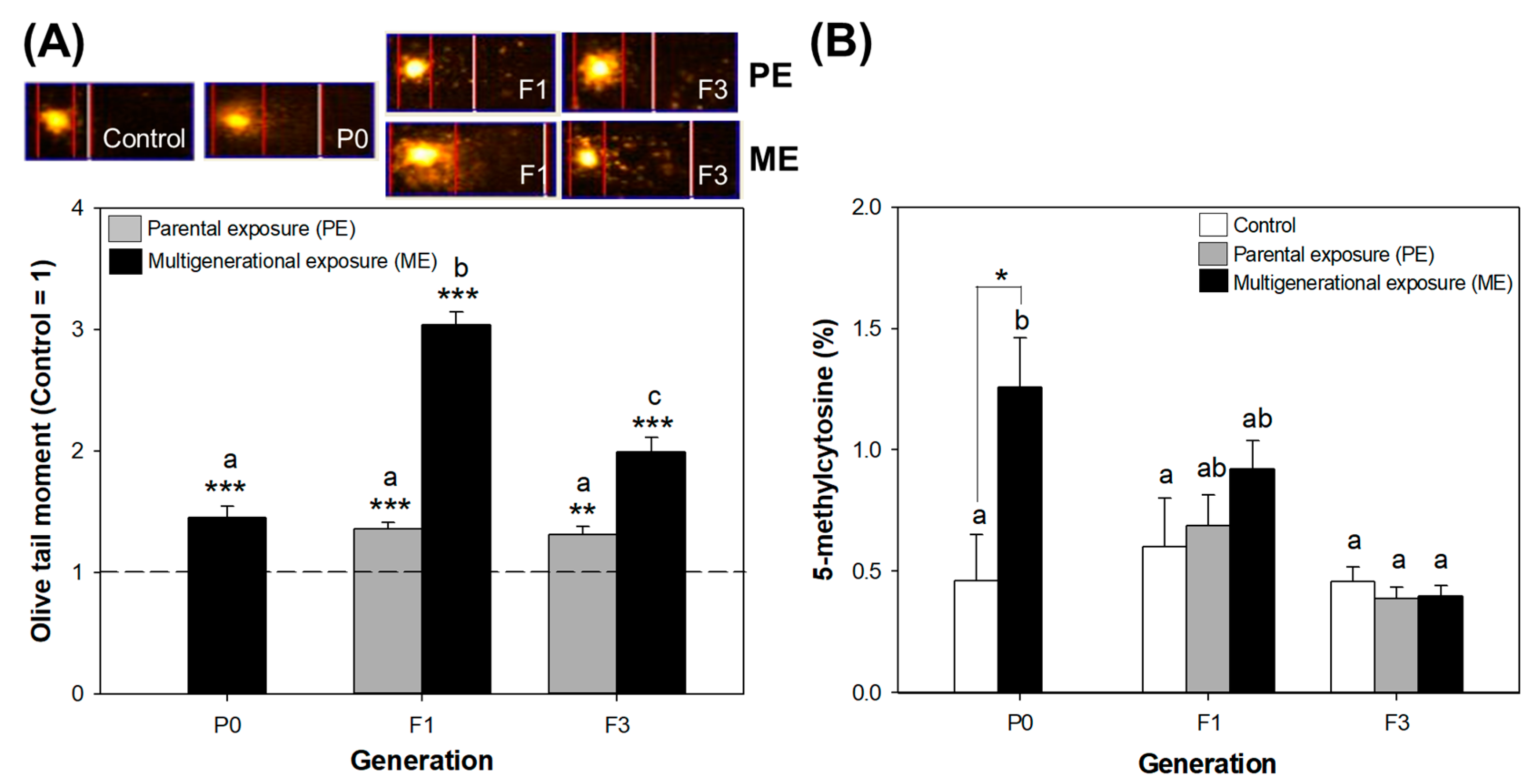 Toxics 11 00388 g006