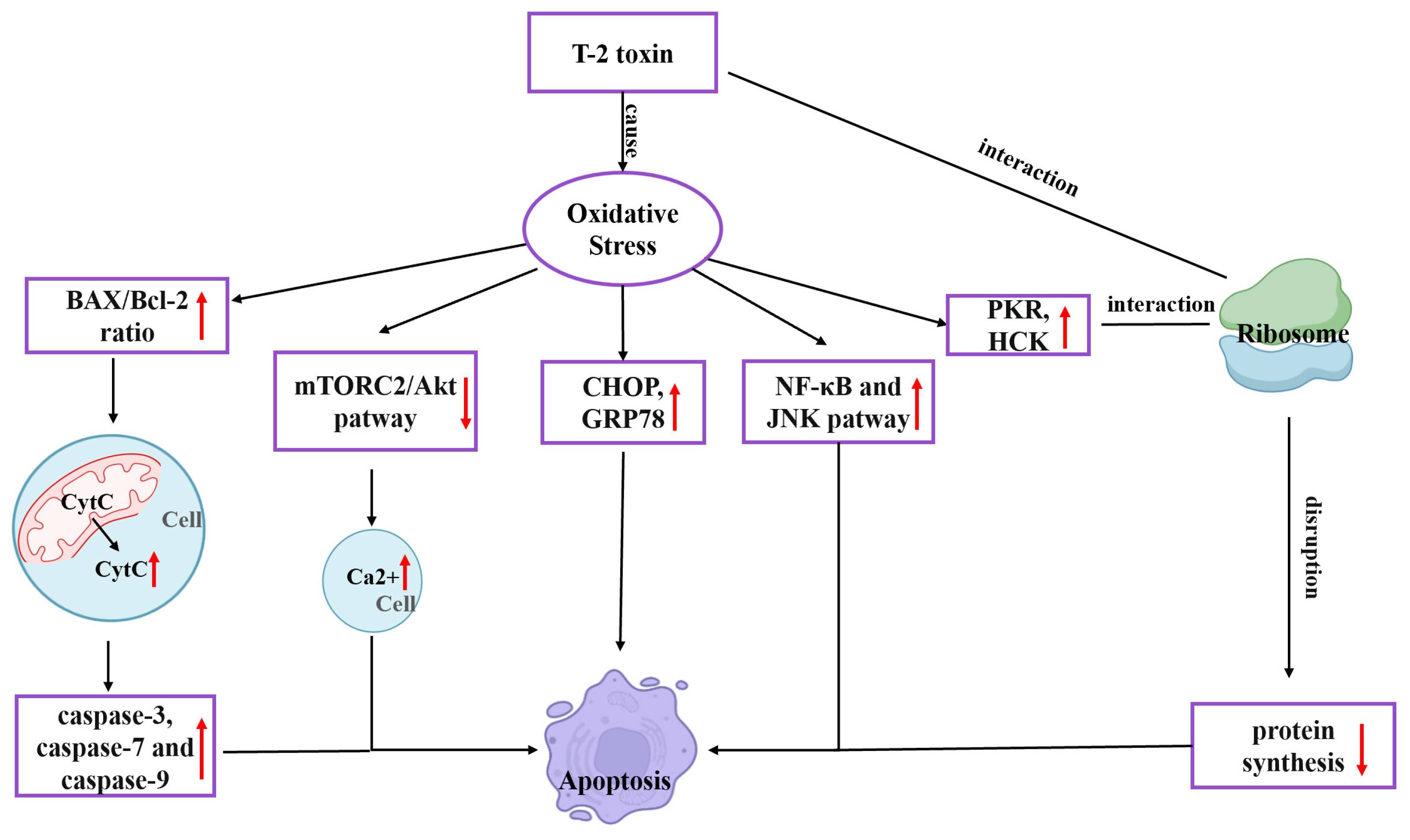 Toxics 11 00393 g001