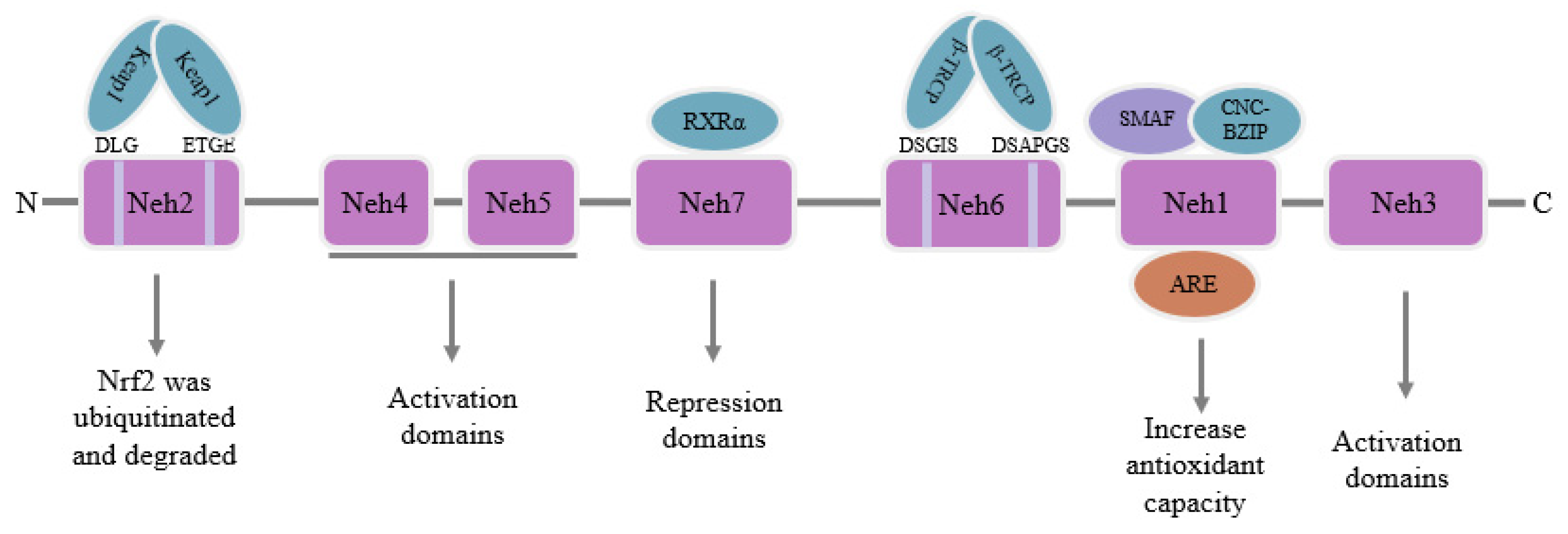 Toxics 11 00393 g002