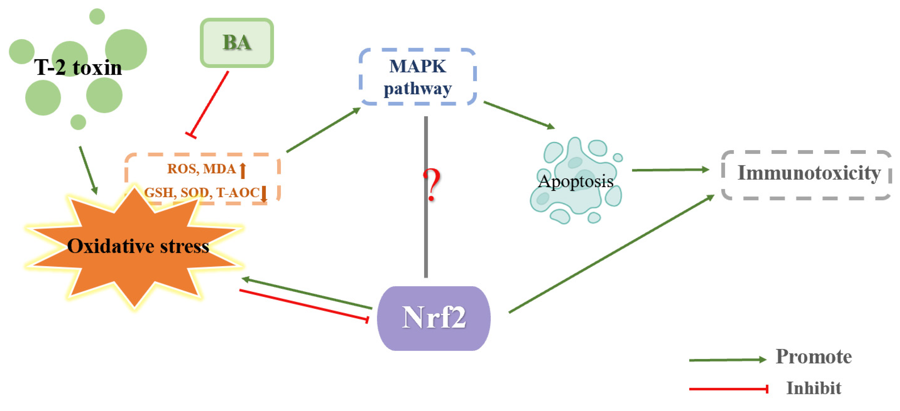 Toxics 11 00393 g005