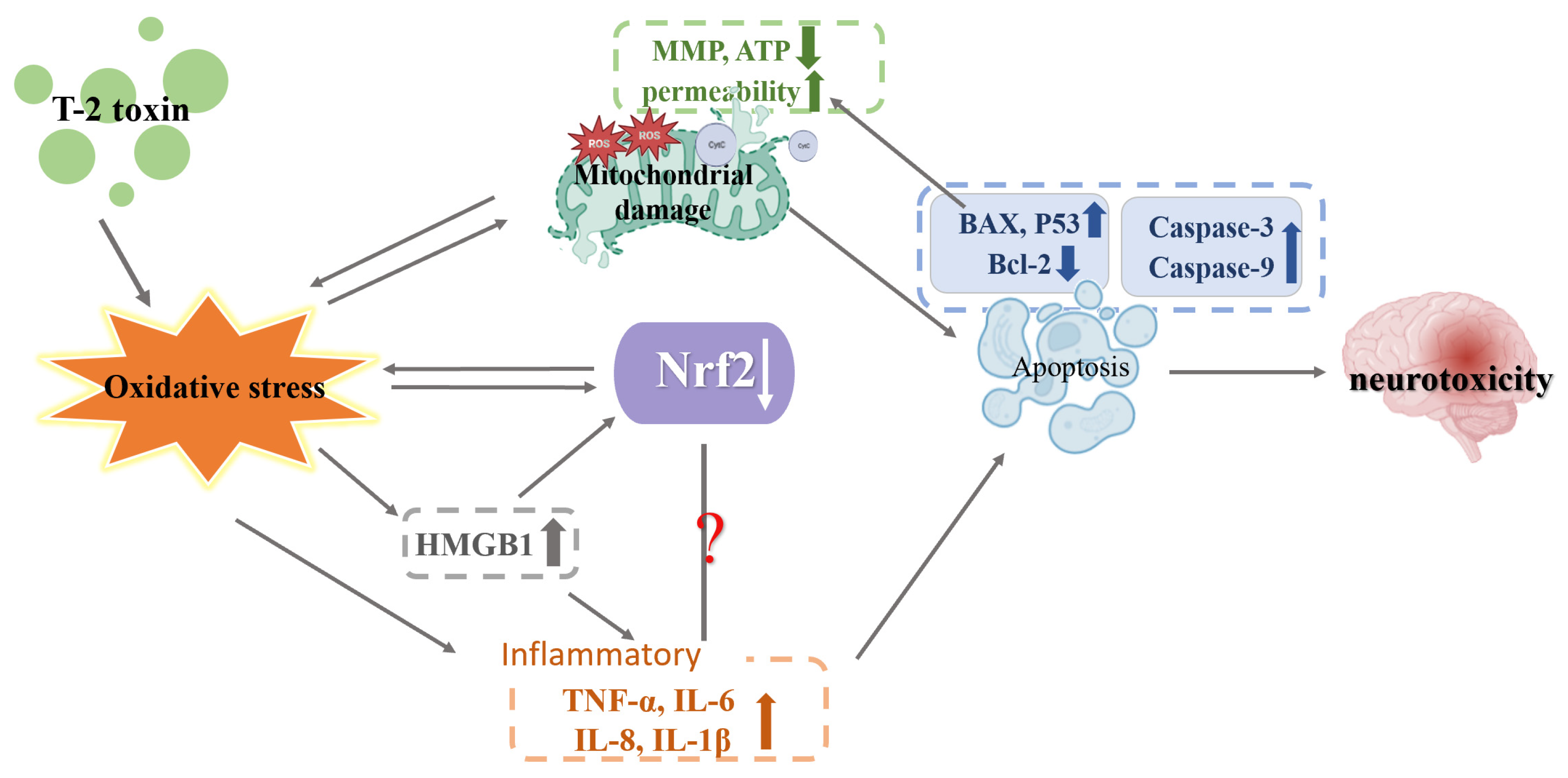 Toxics 11 00393 g006