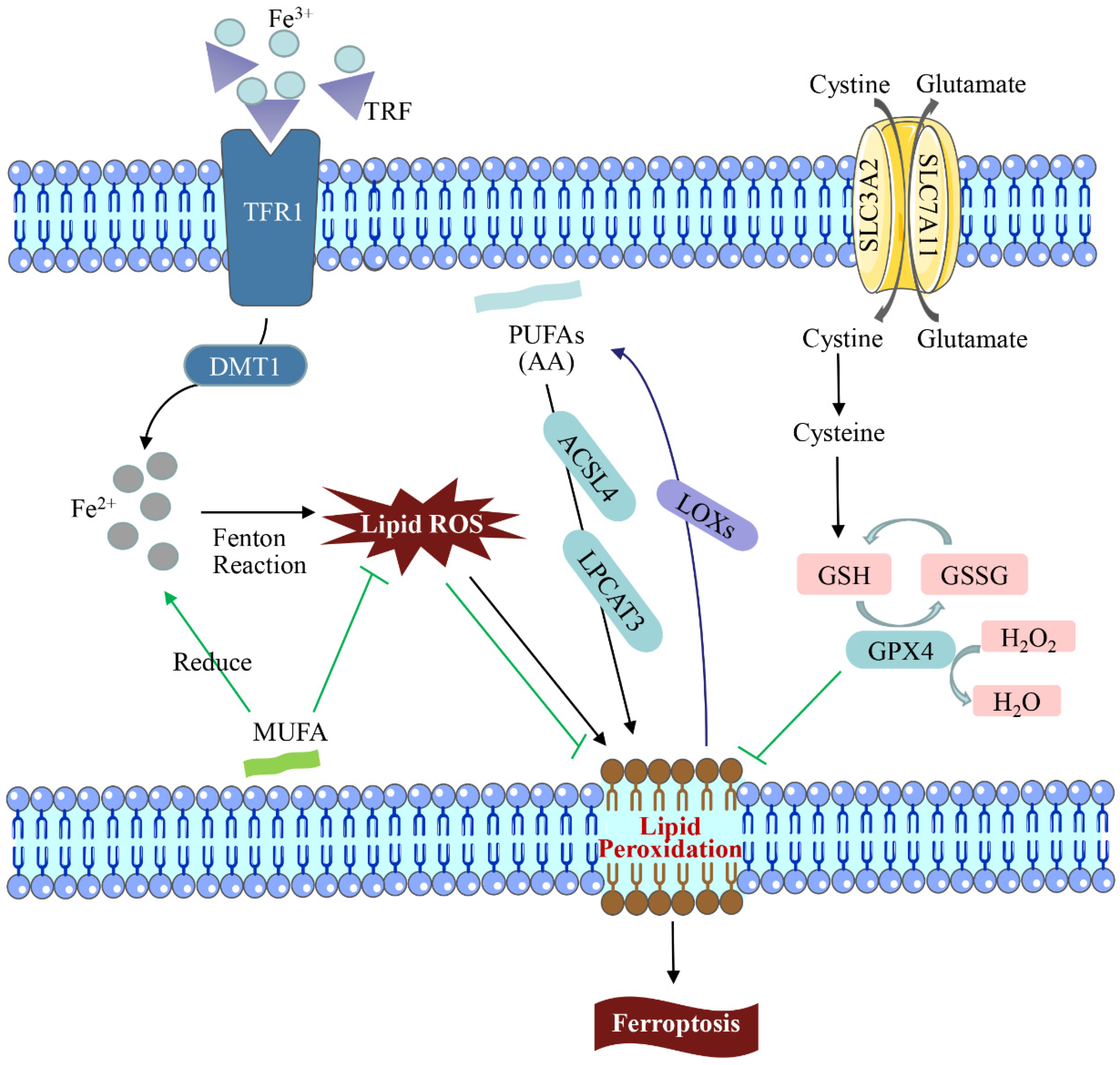 Toxics 11 00395 g001