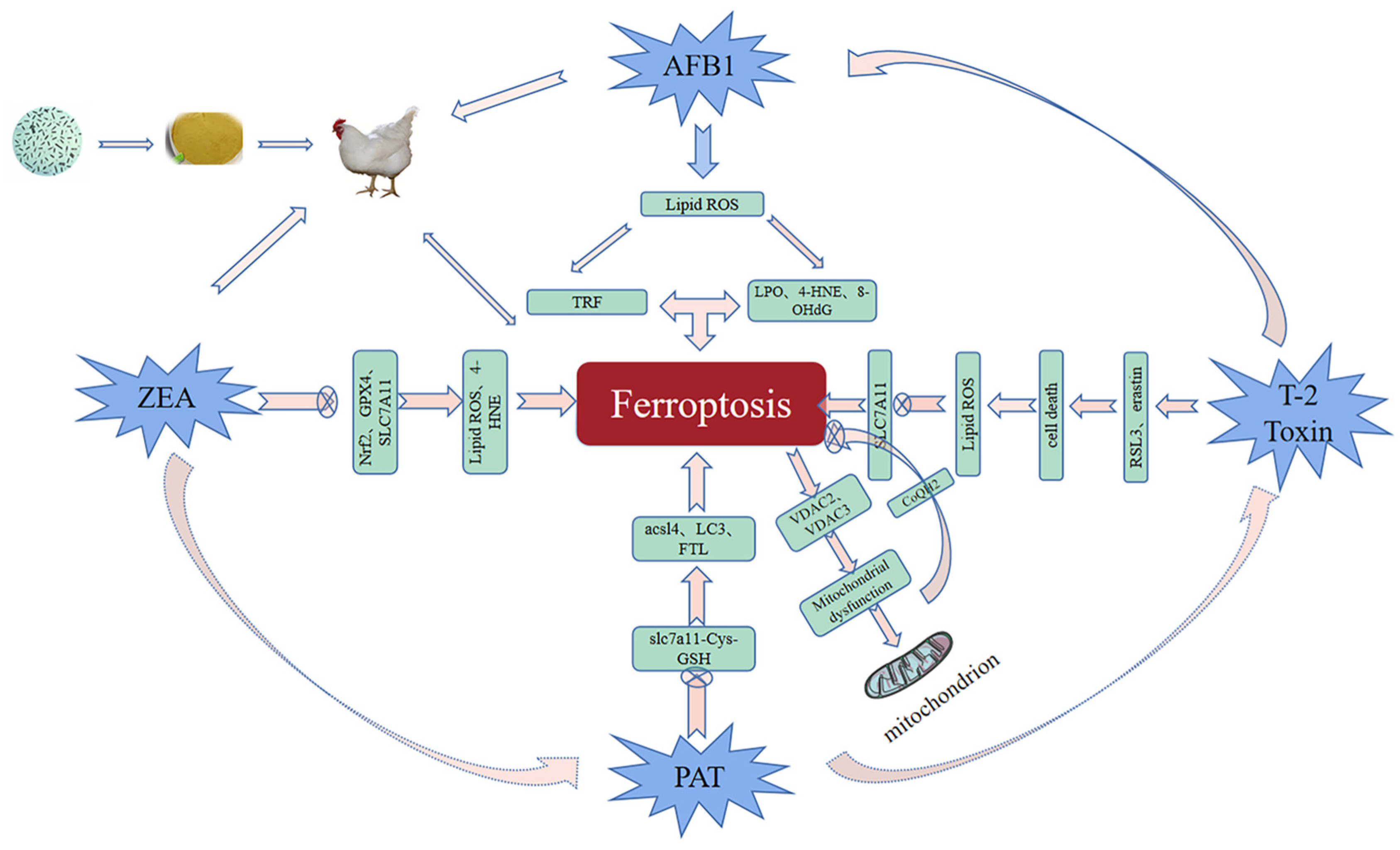 Toxics 11 00395 g002