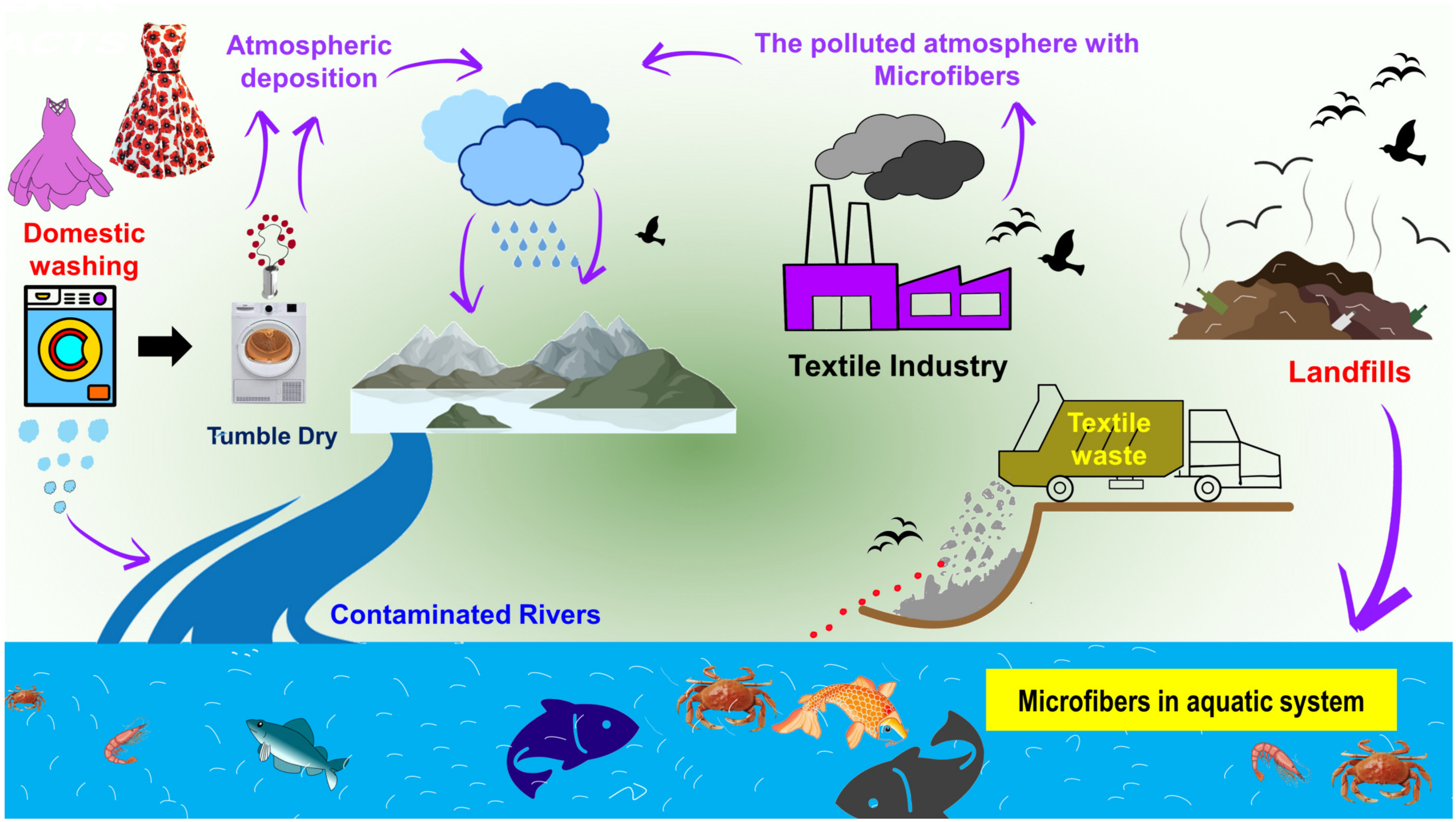 Toxics 11 00406 g001