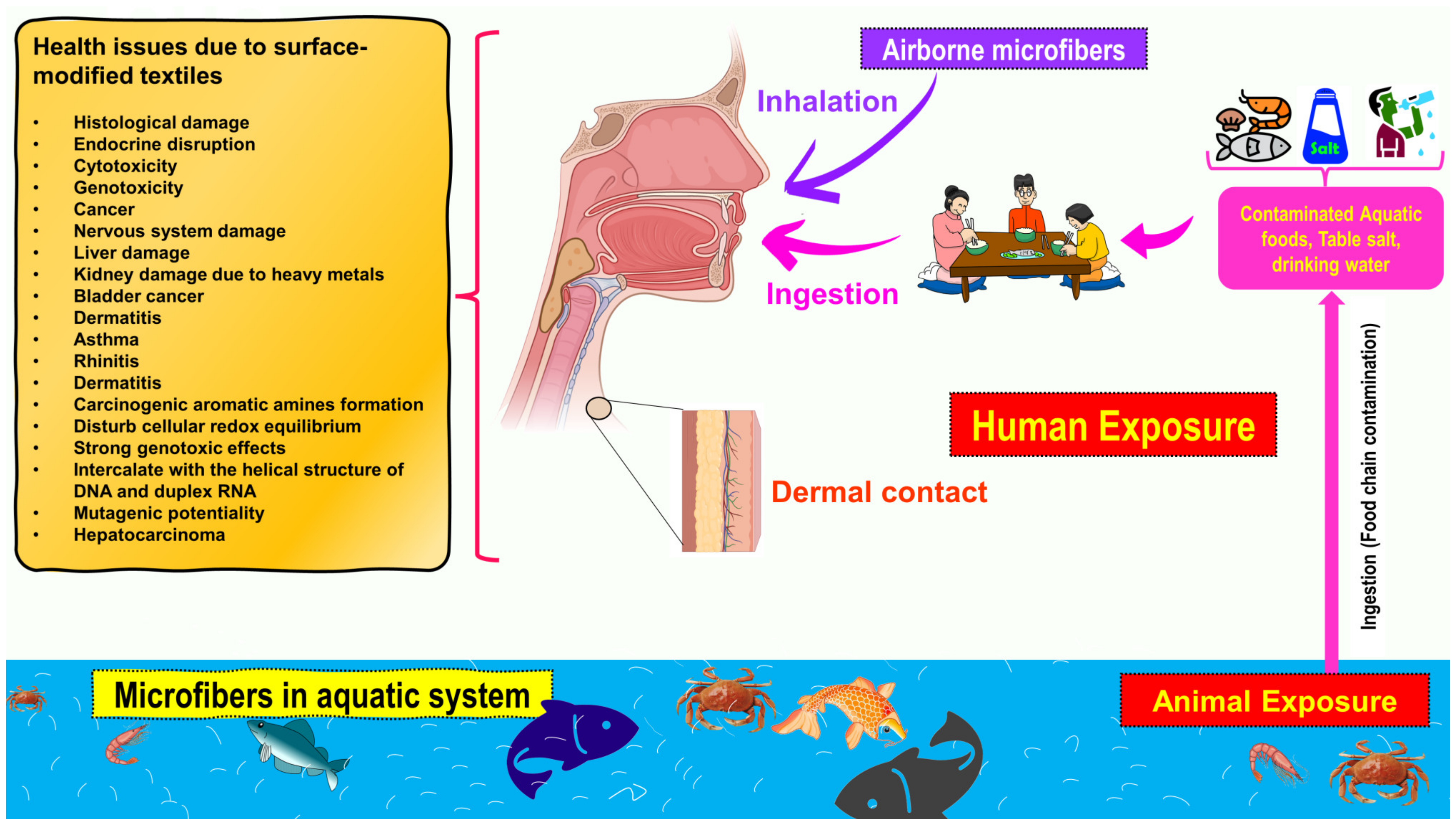 Toxics 11 00406 g002
