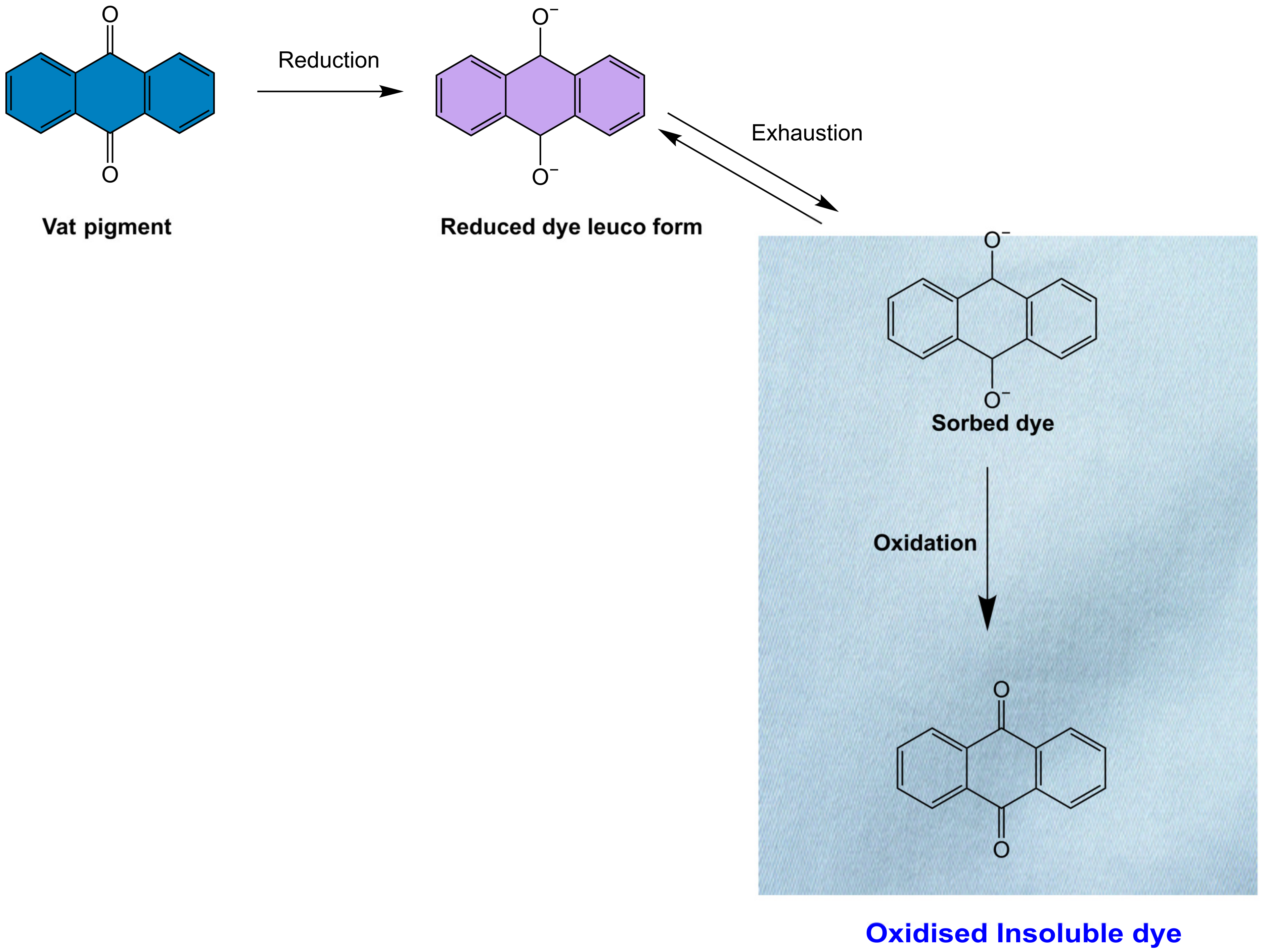 Toxics 11 00406 g005