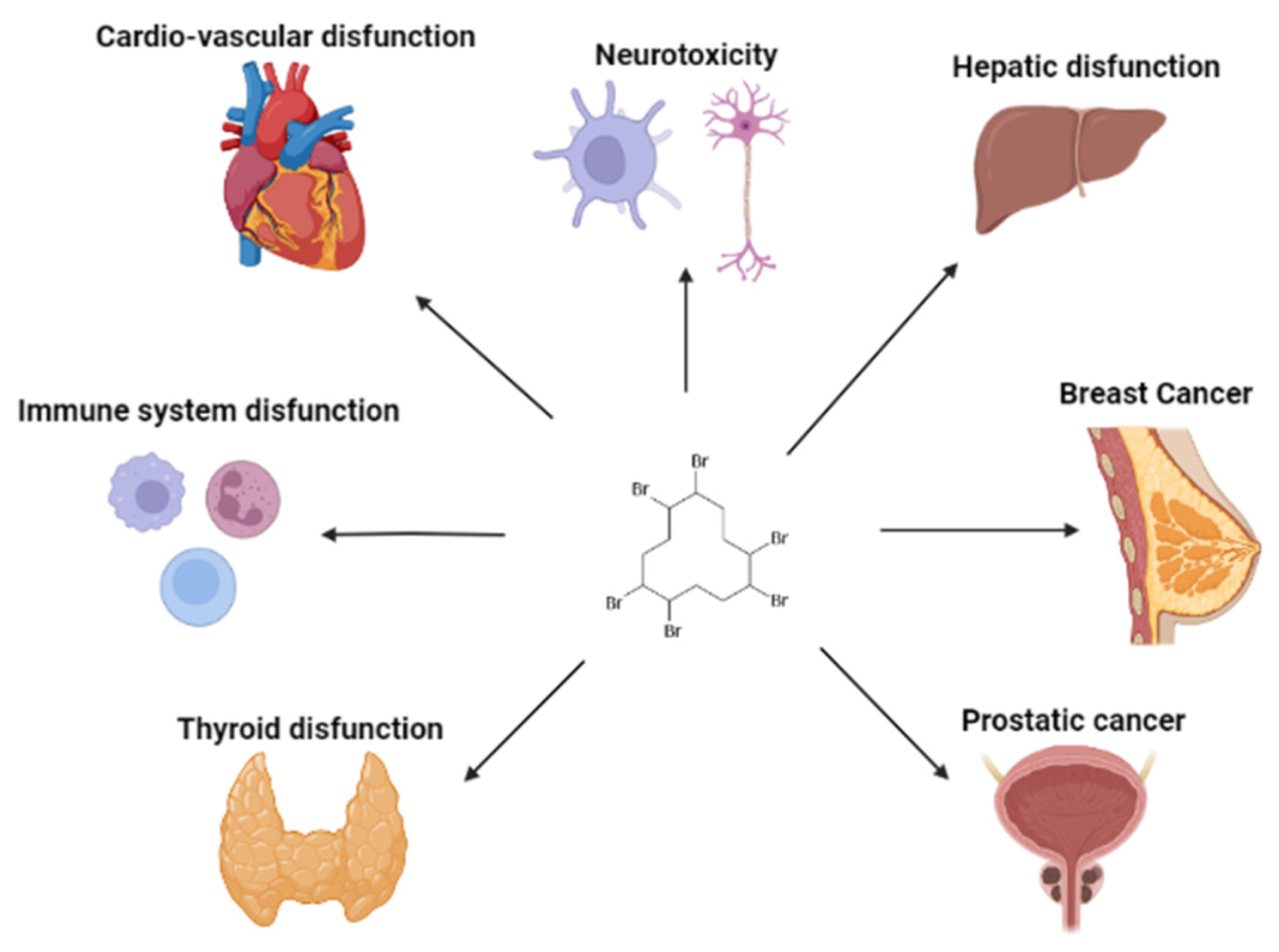Toxics 11 00409 g002