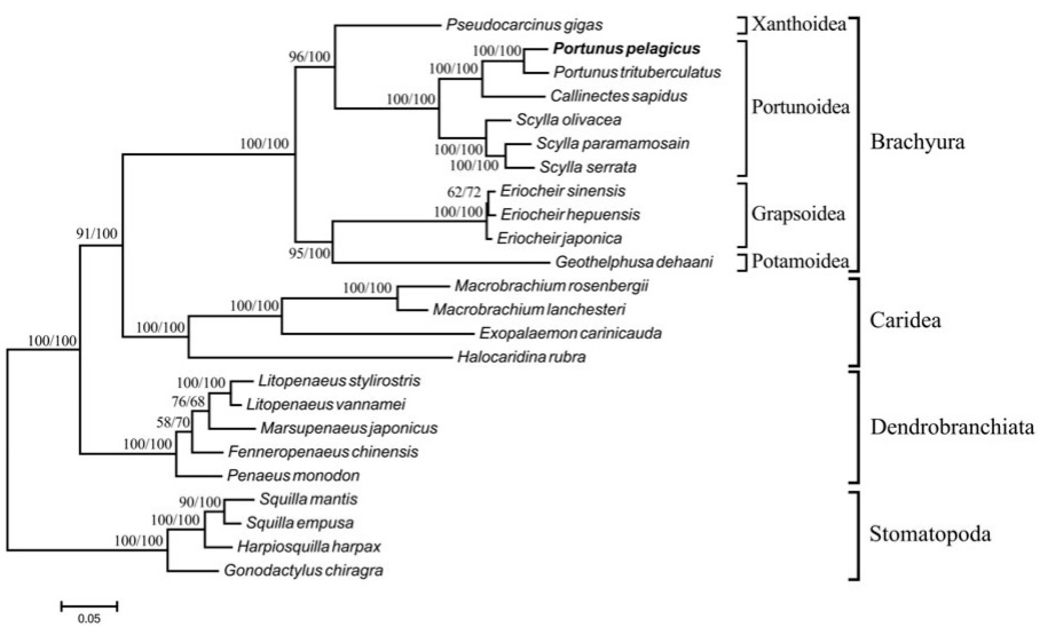 Toxics 11 00426 g002